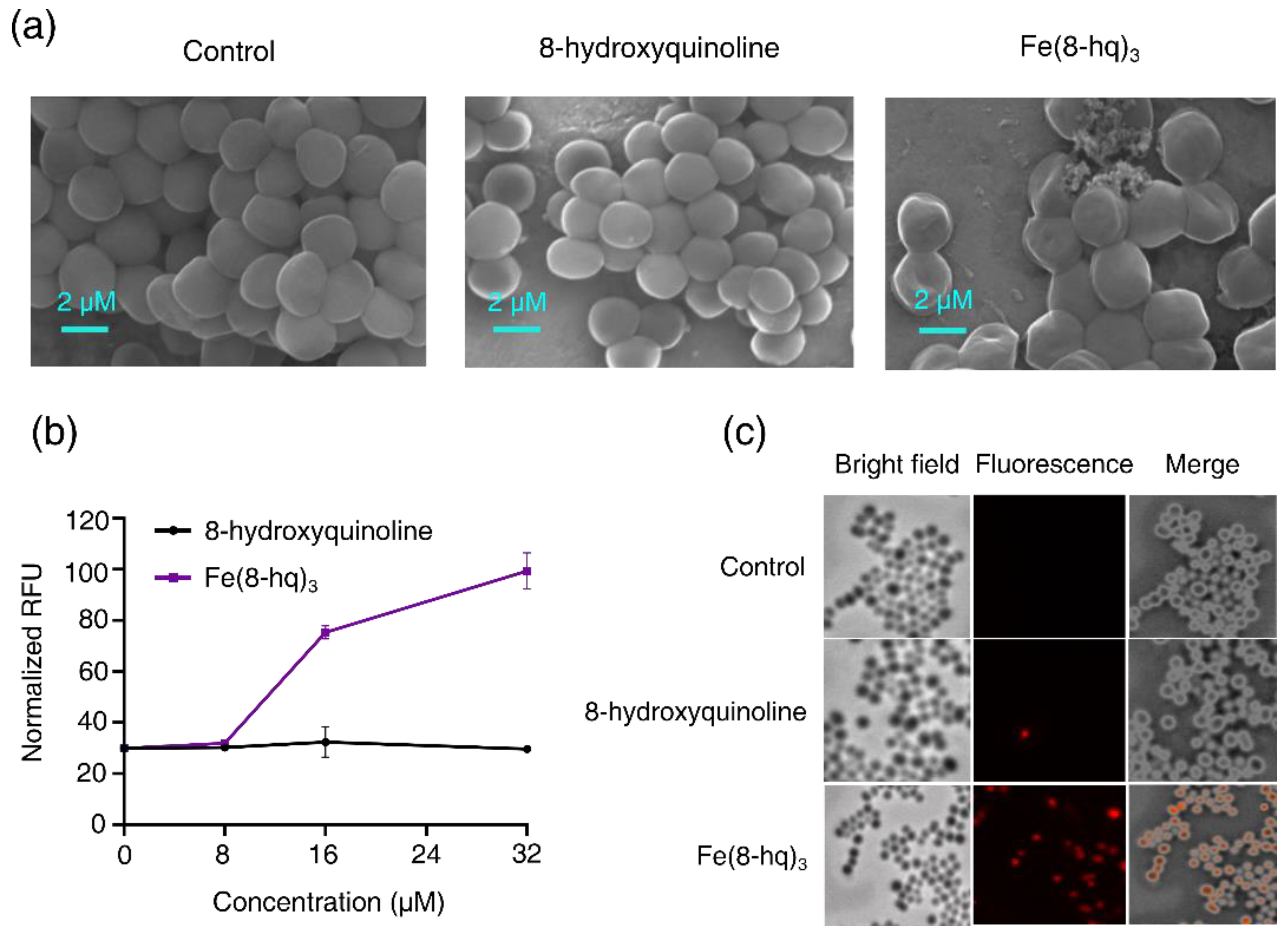 Antibiotics 12 00886 g005