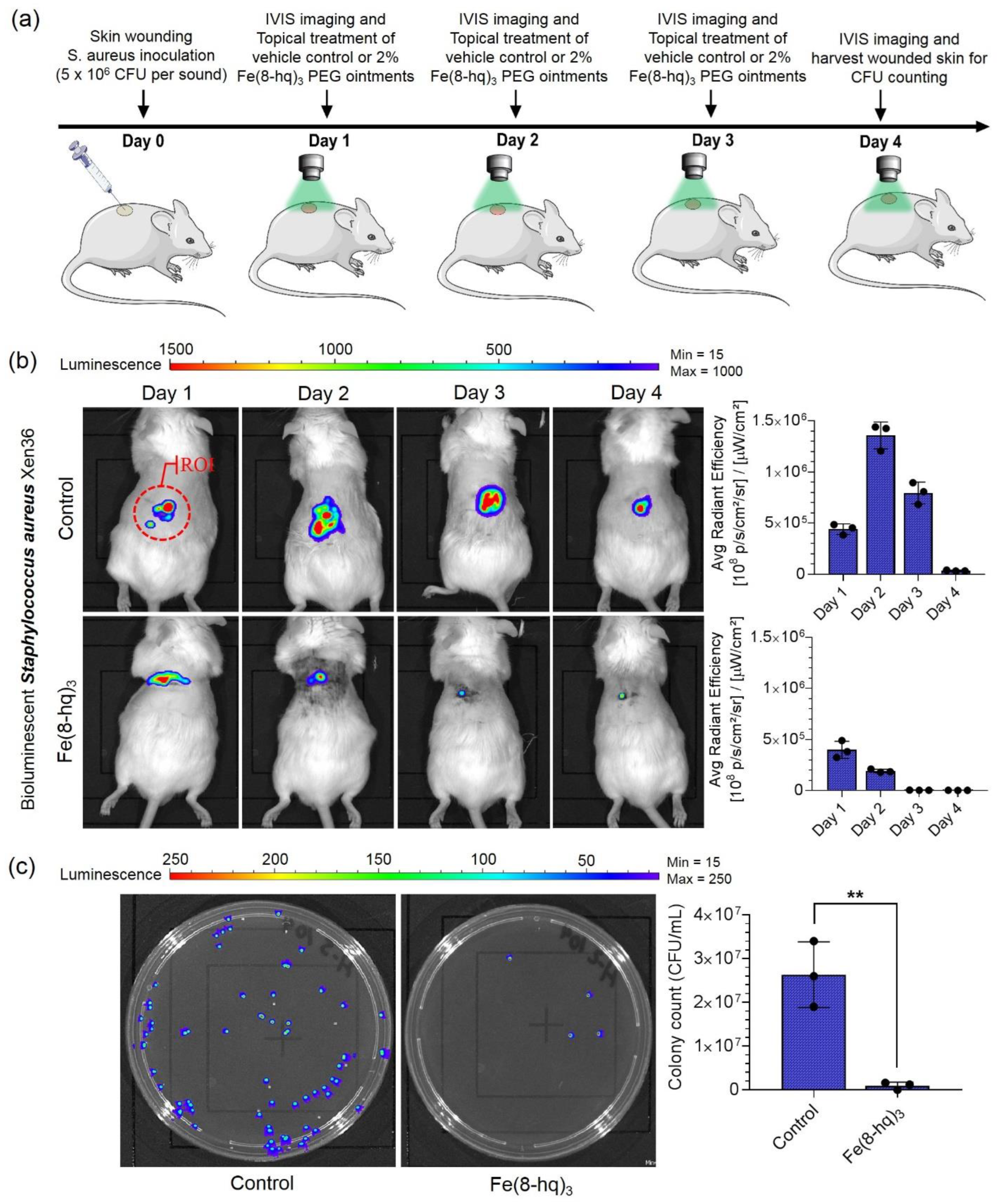 Antibiotics 12 00886 g008