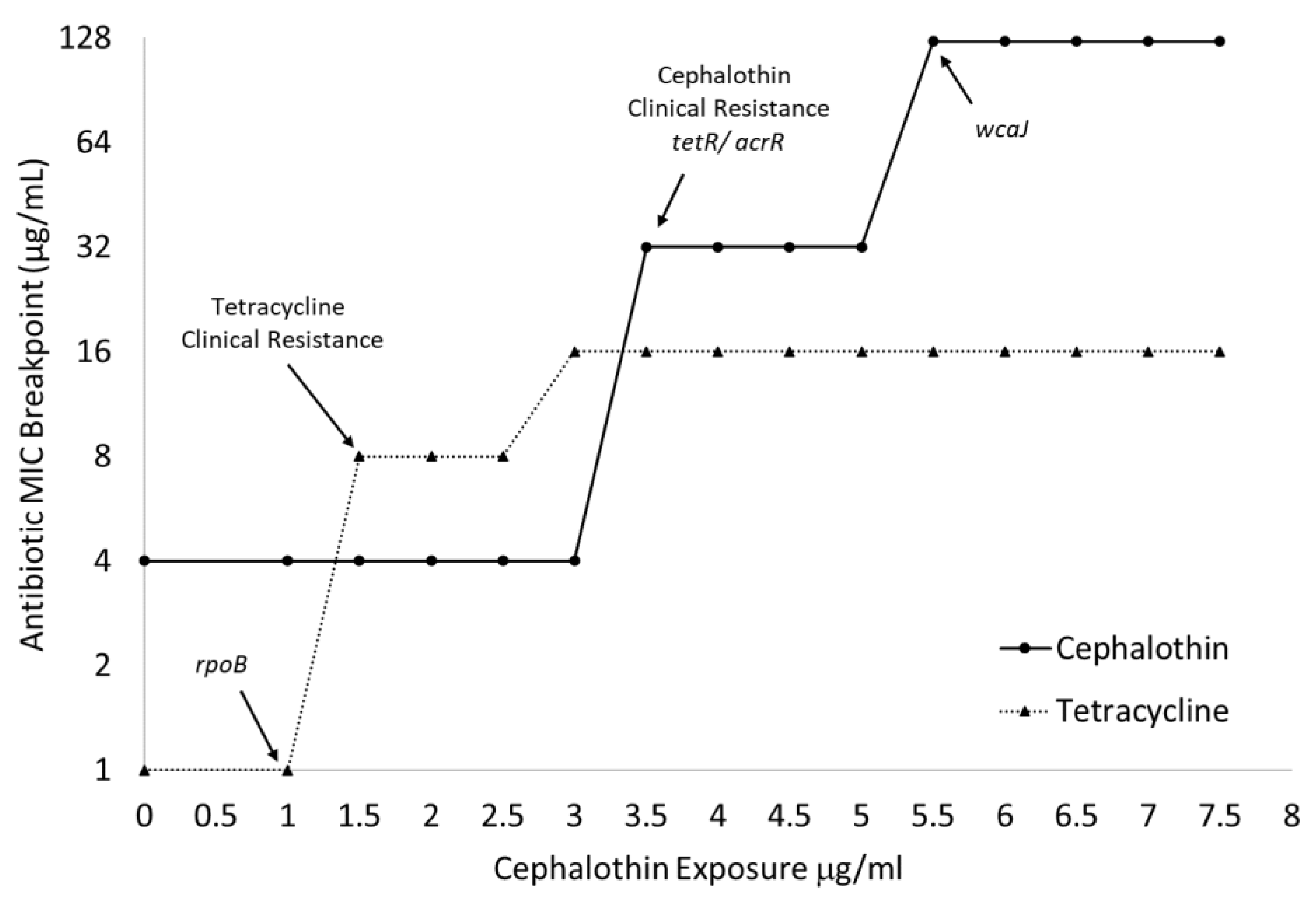 Antibiotics 12 00887 g003 Antibiotics 12 00887 g003
