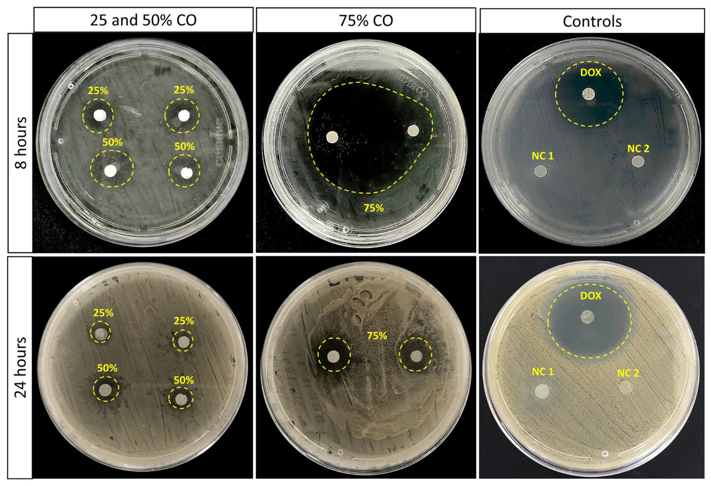 Antibiotics 12 00898 g002