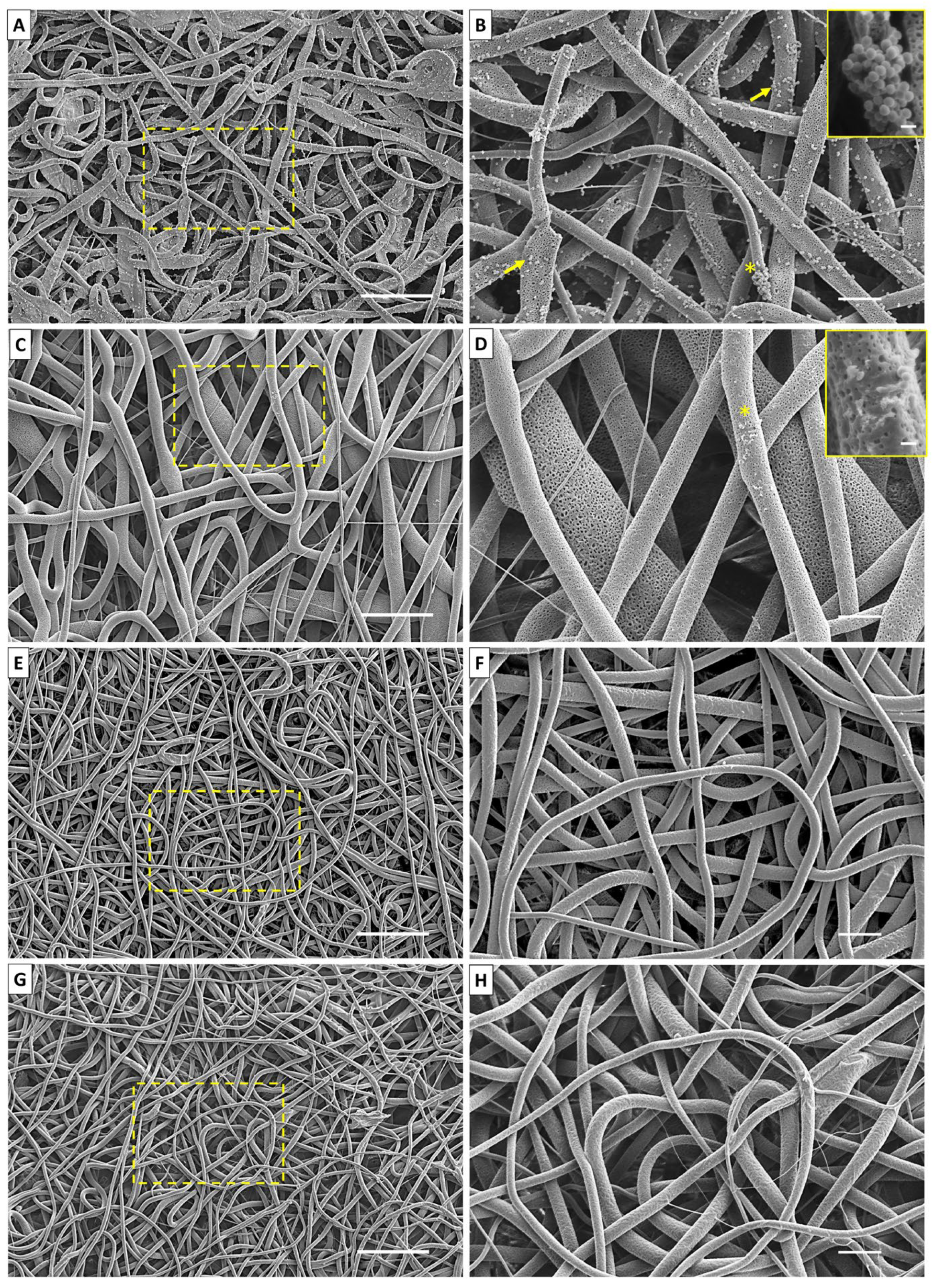 Antibiotics 12 00898 g004