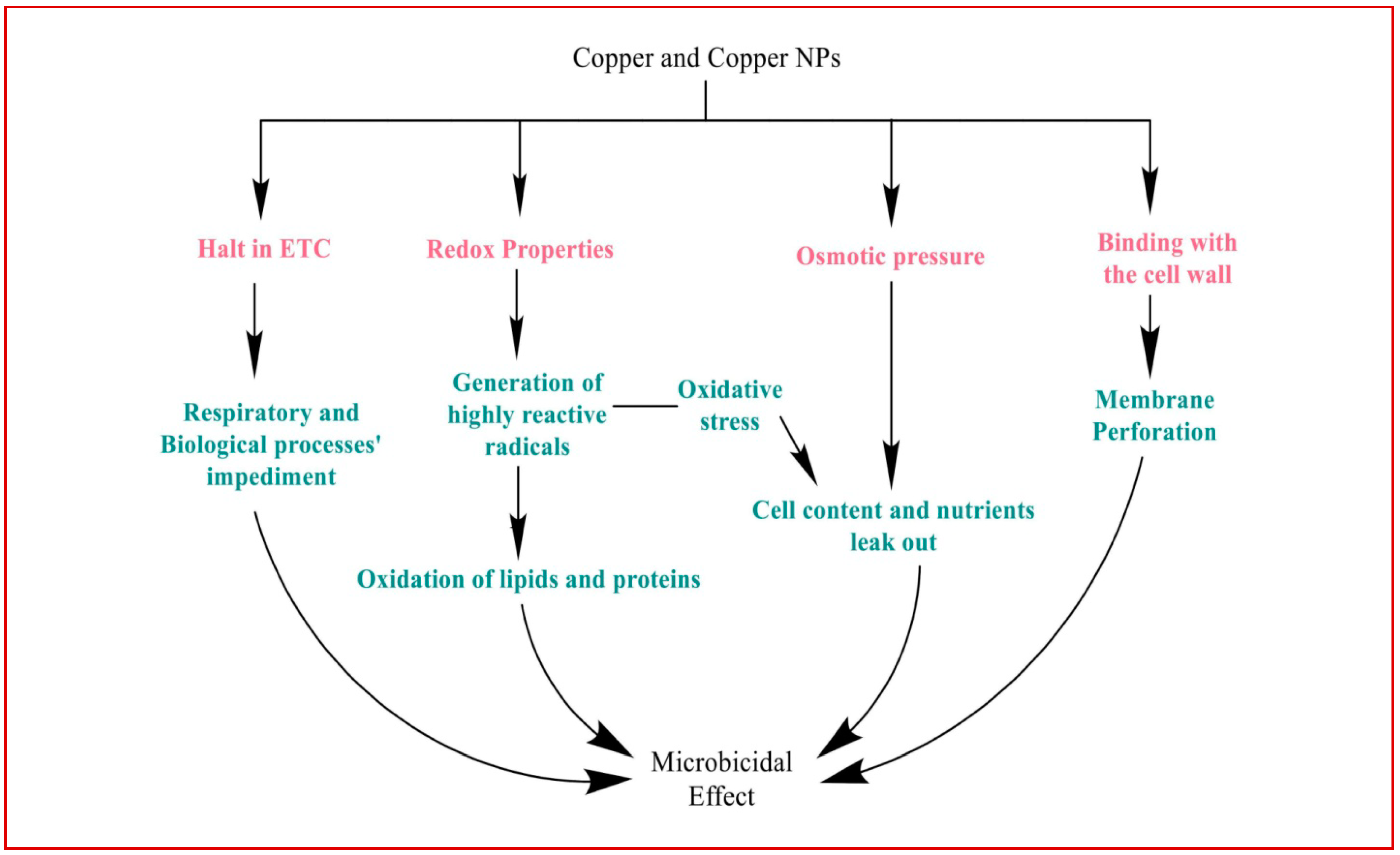 Antibiotics 12 00909 g002 Antibiotics 12 00909 g002