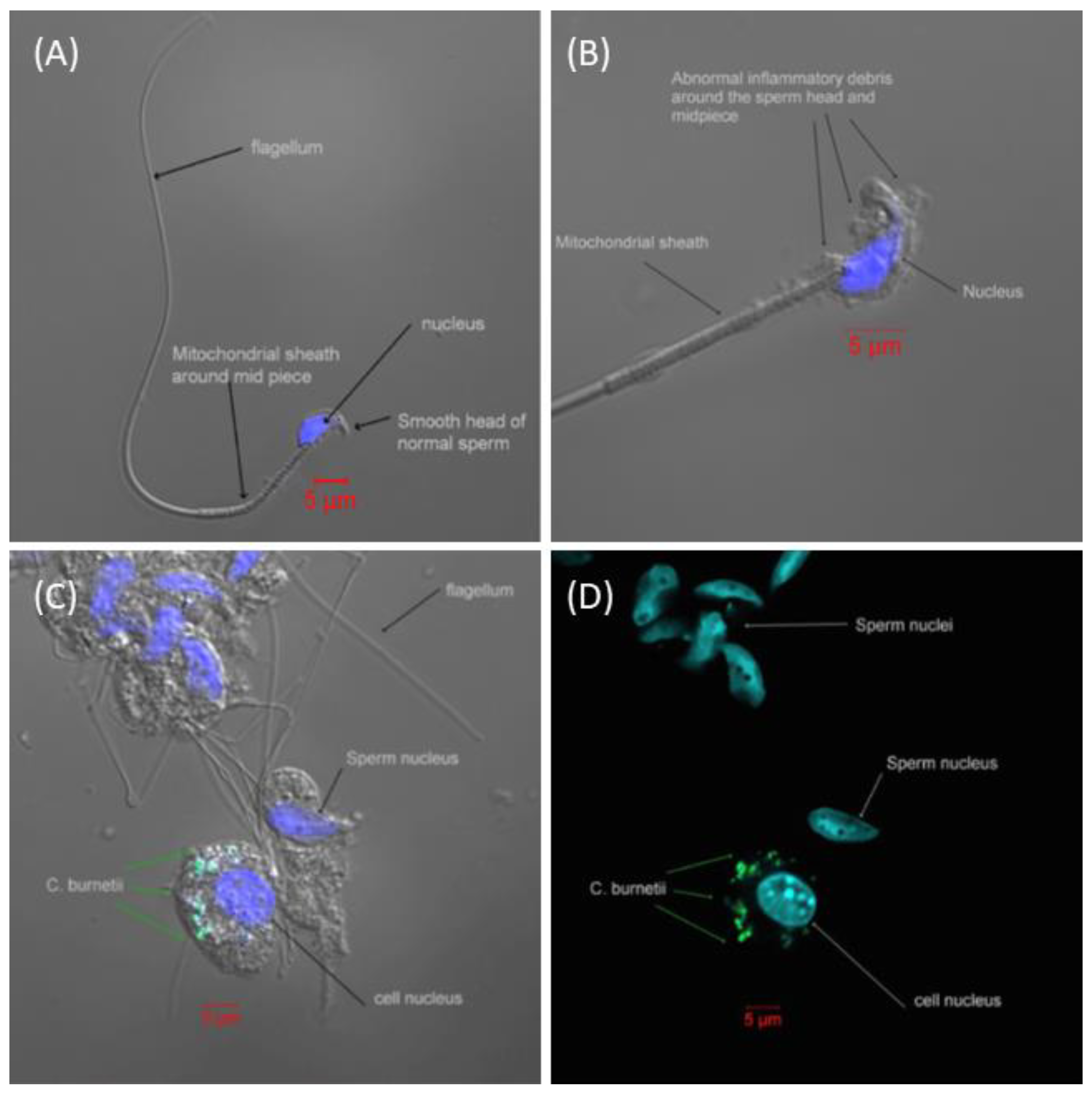 Antibiotics 12 00914 g003