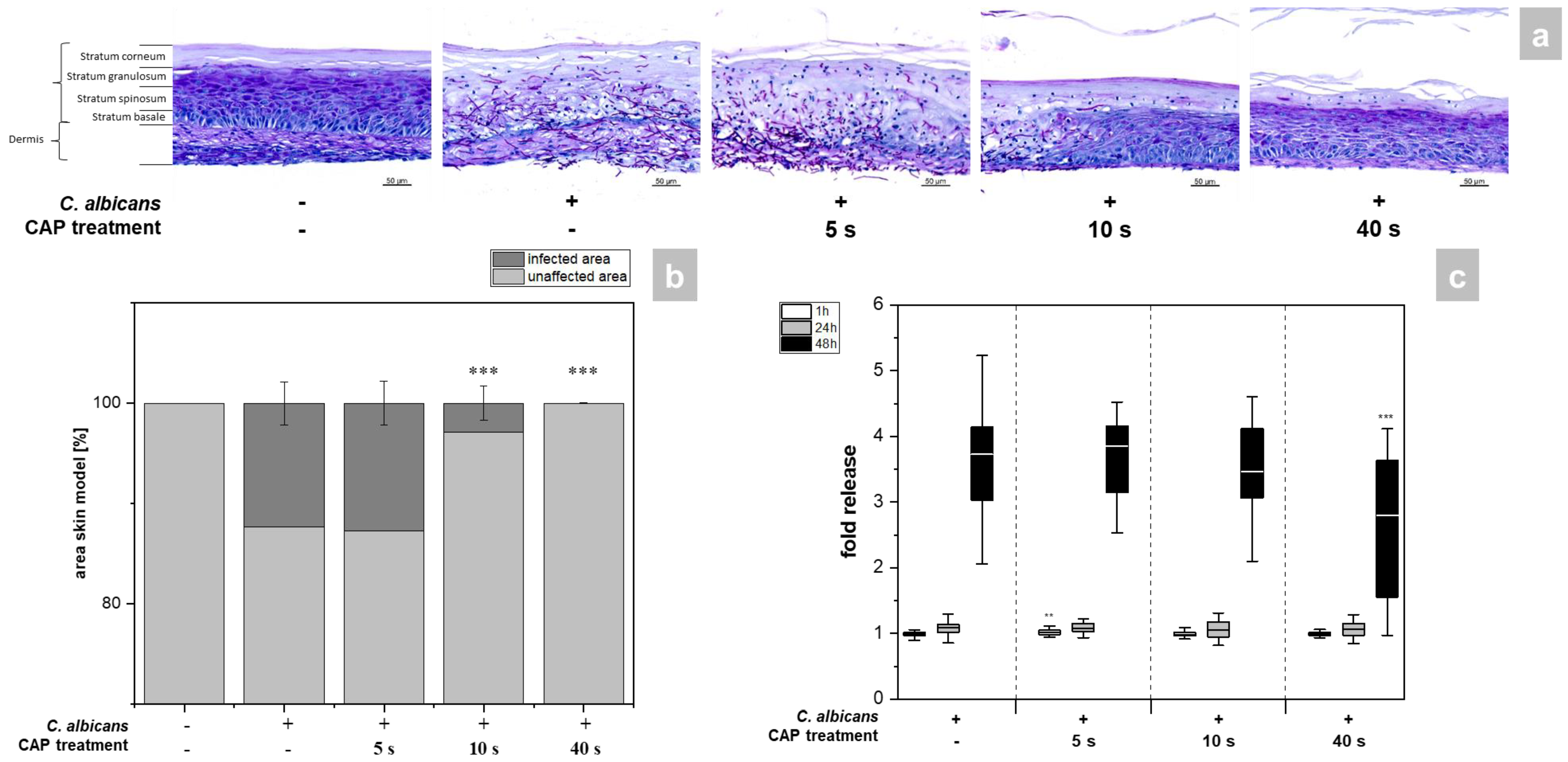 Antibiotics 12 00933 g002 Antibiotics 12 00933 g002