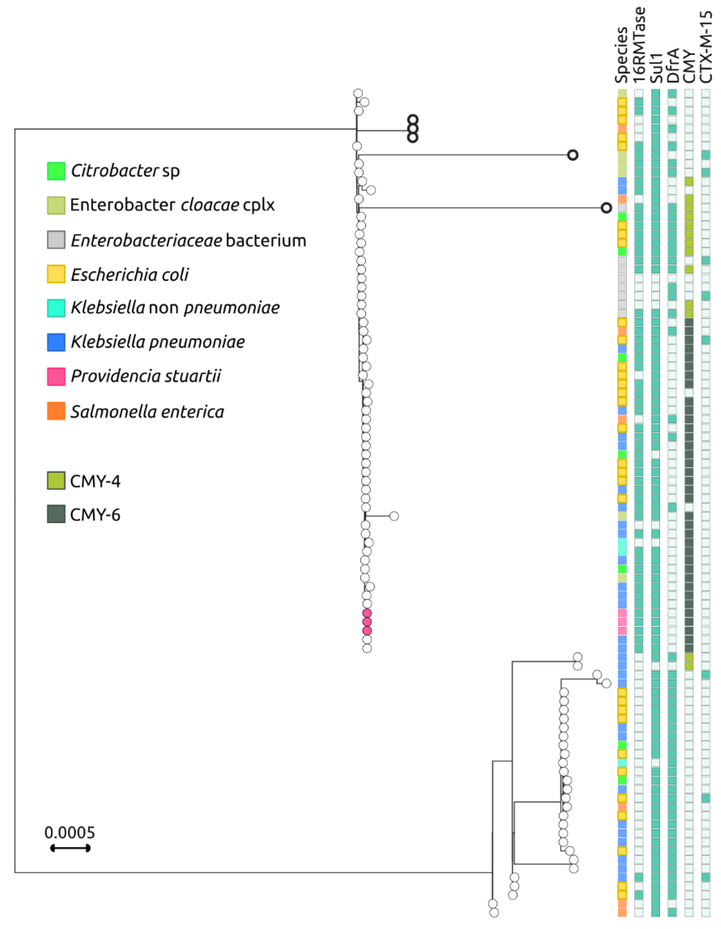 Antibiotics Free FullText GenomeBased Retrospective Analysis of a