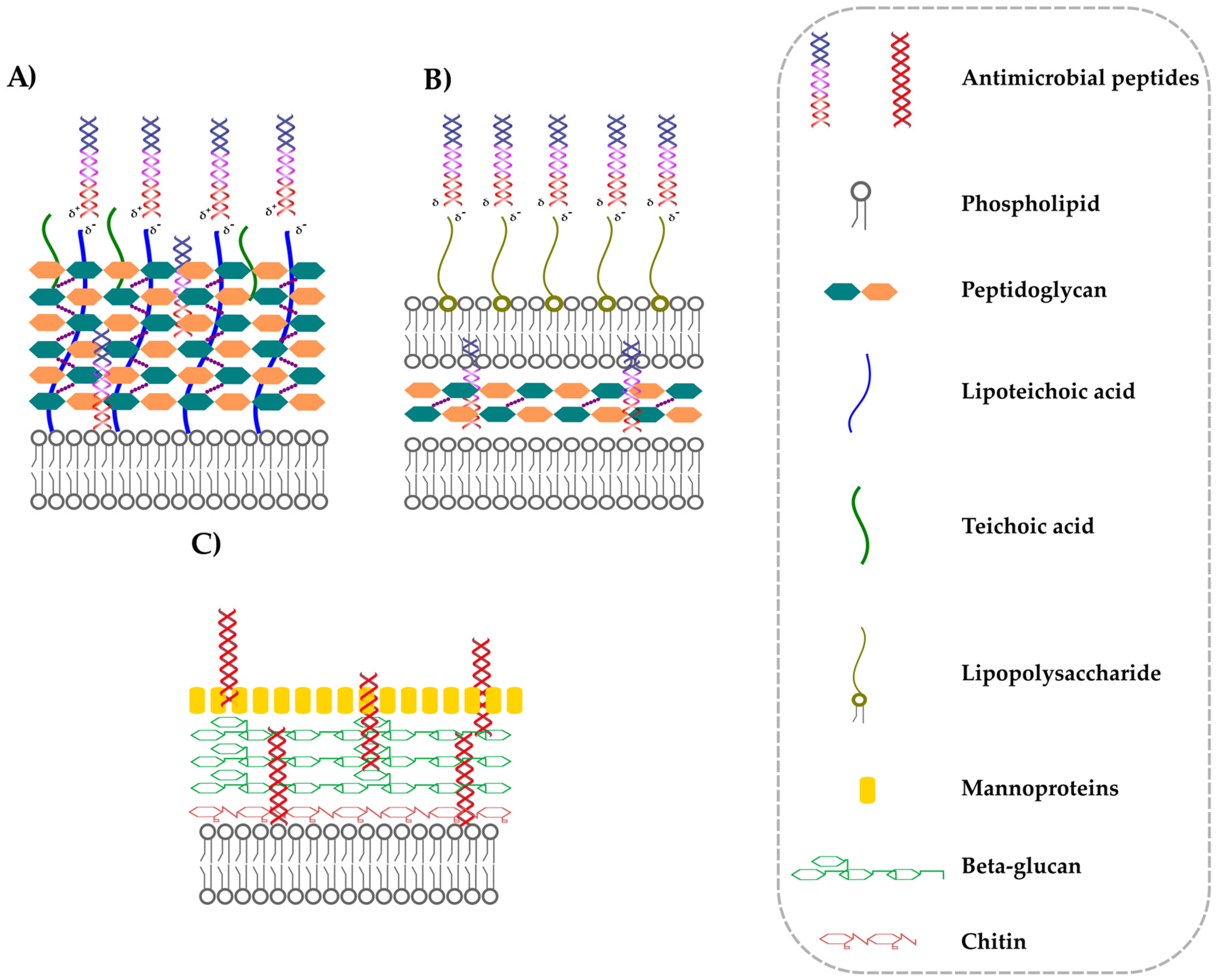 Antibiotics 12 00952 g005