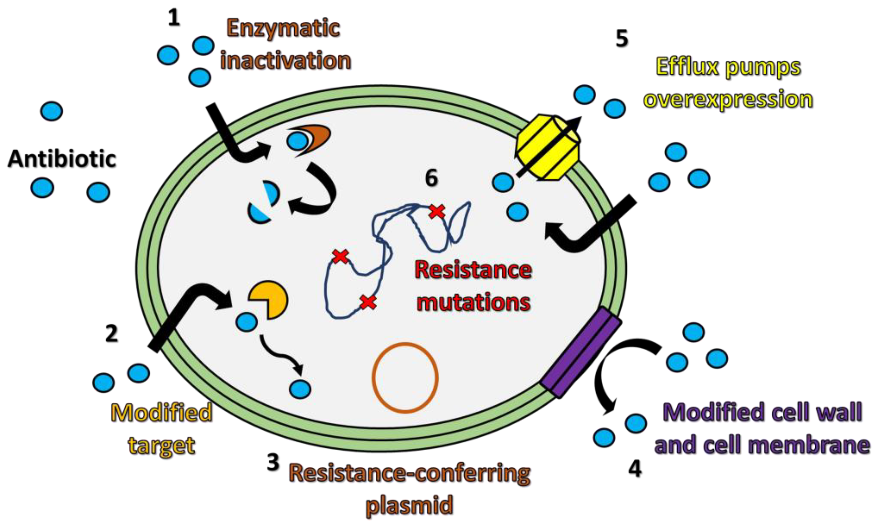 Antibiotics | Free Full-Text | Antimicrobial Resistance: Two-Component  Regulatory Systems and Multidrug Efflux Pumps