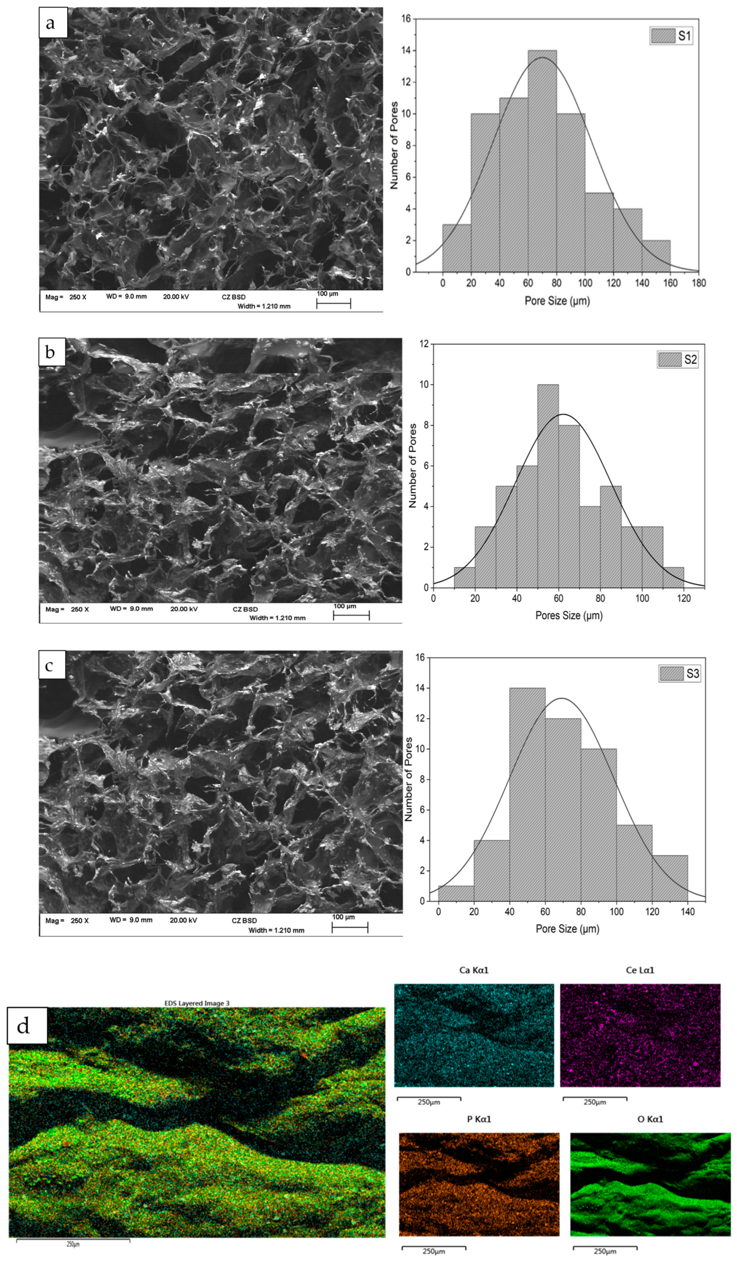 Antibiotics | Free Full-Text | Fabrication and Characterisation of