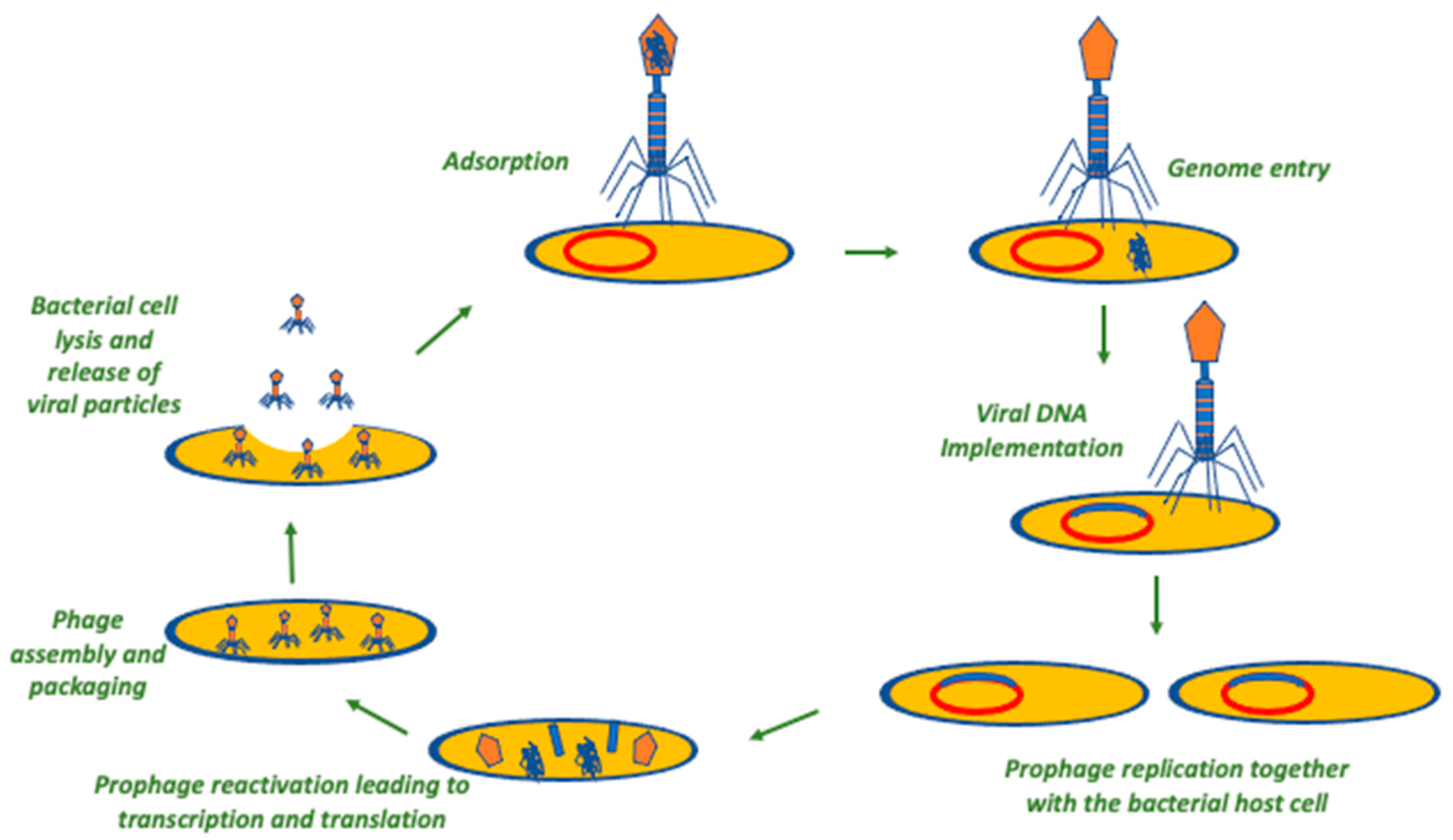 Antibiotics 12 01012 g002 Antibiotics 12 01012 g002