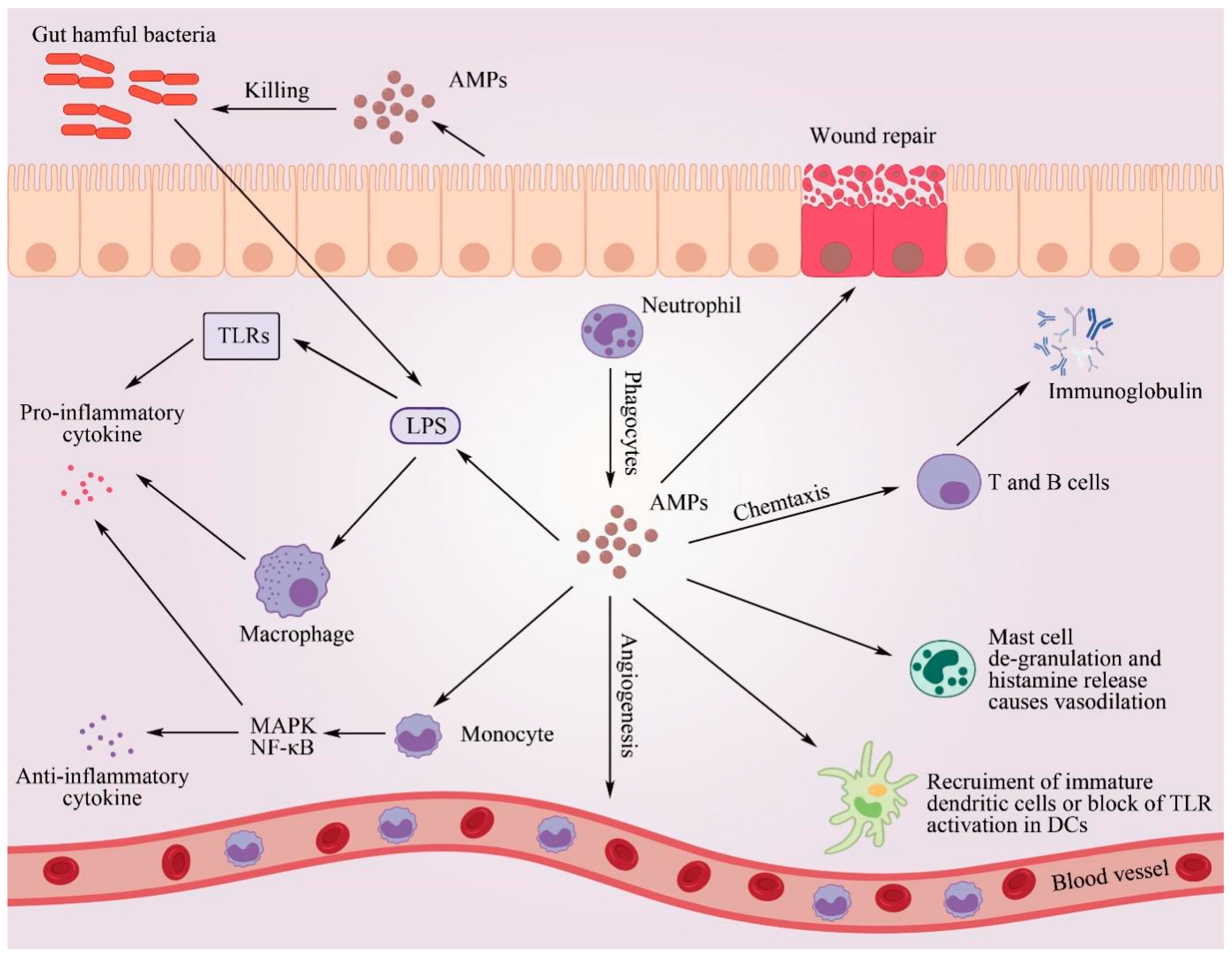 Antibiotics 12 01037 g004