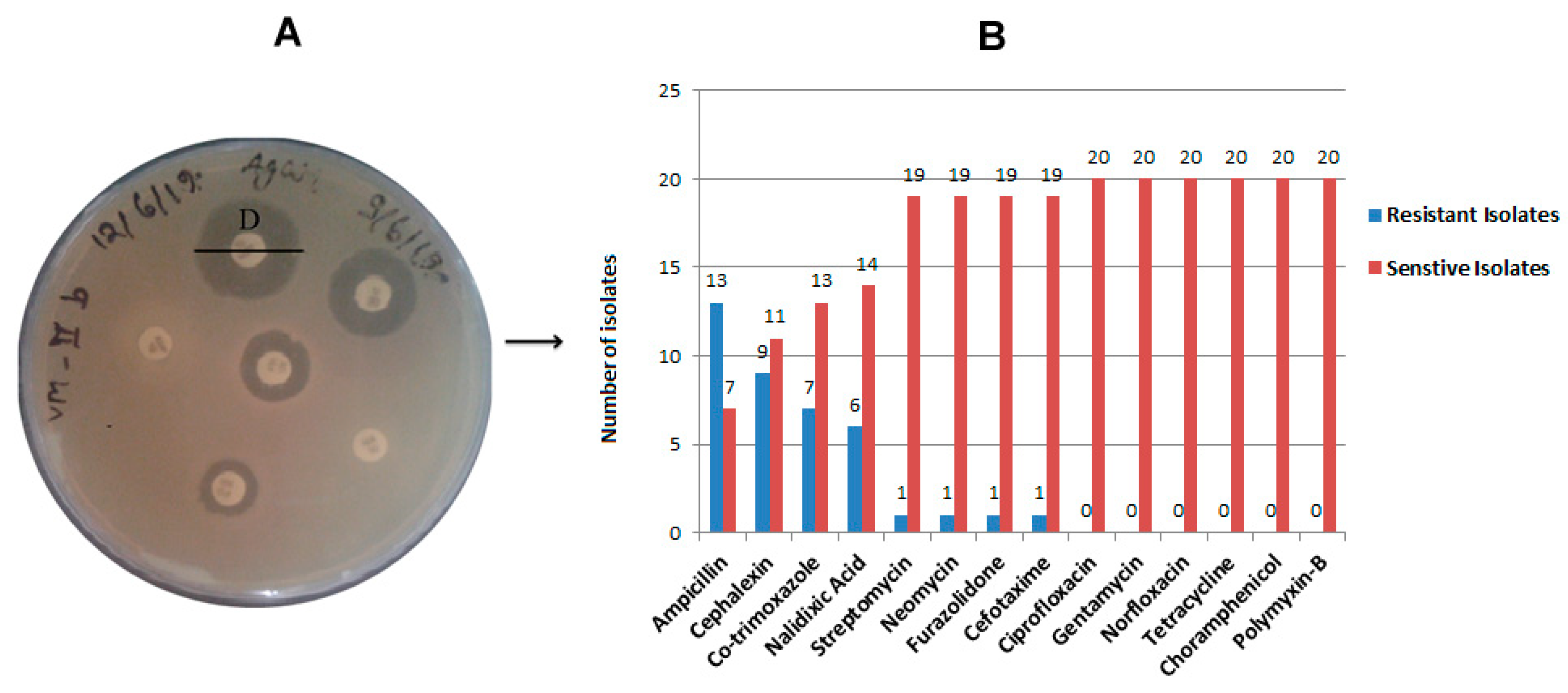 Antibiotics 12 01062 g002 Antibiotics 12 01062 g002