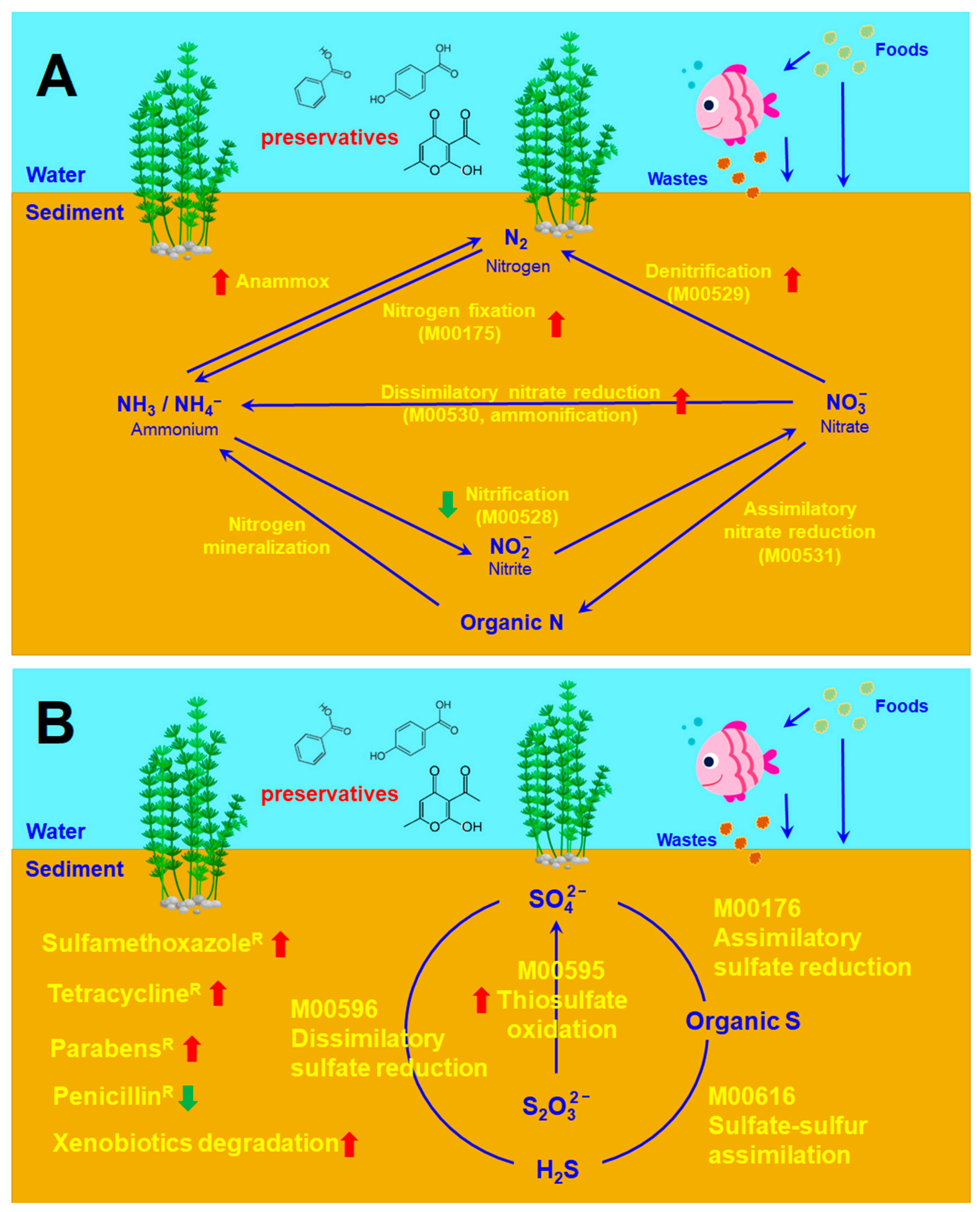 Antibiotics 12 01082 g008 Antibiotics 12 01082 g008