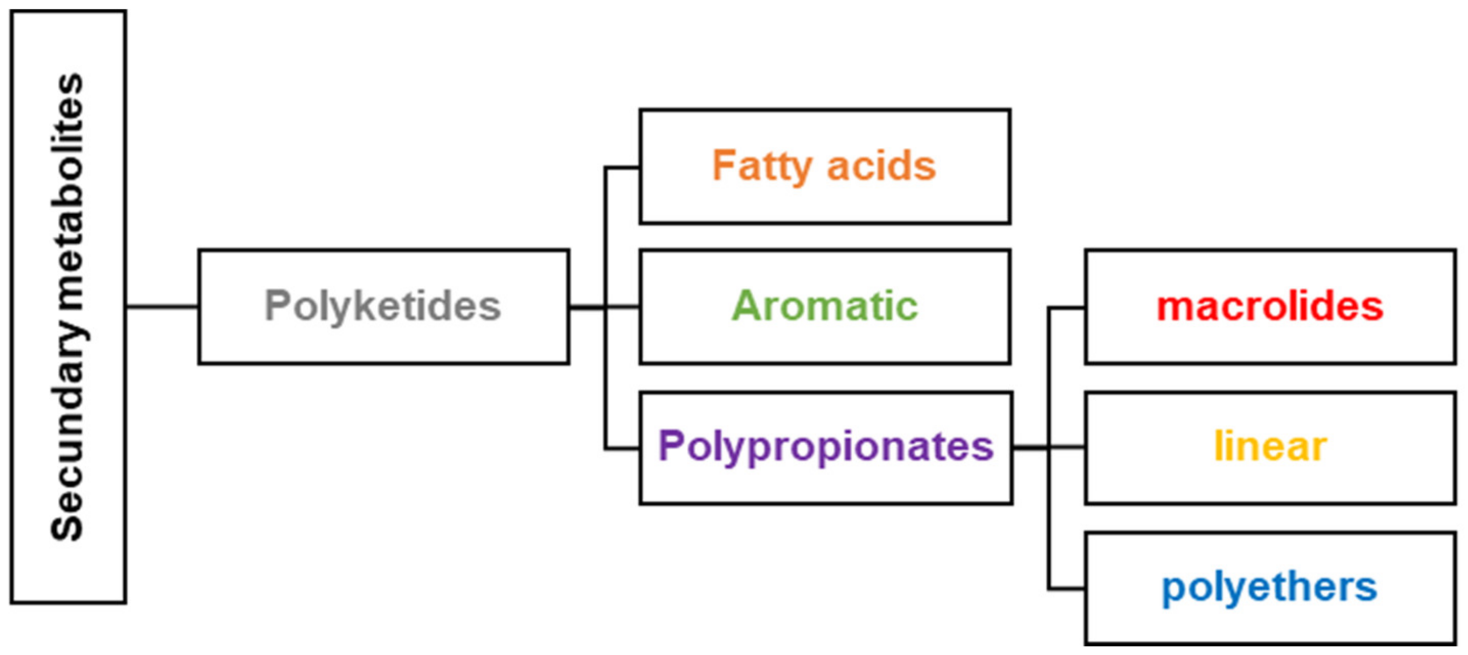 Antibiotics | Free Full-Text | Extraction, Isolation, Characterization ...