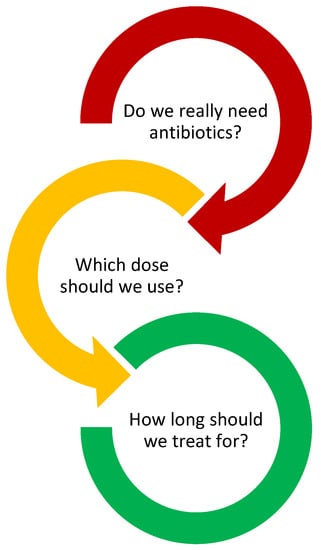 Review the 8 elements of safe medication use in Scouting