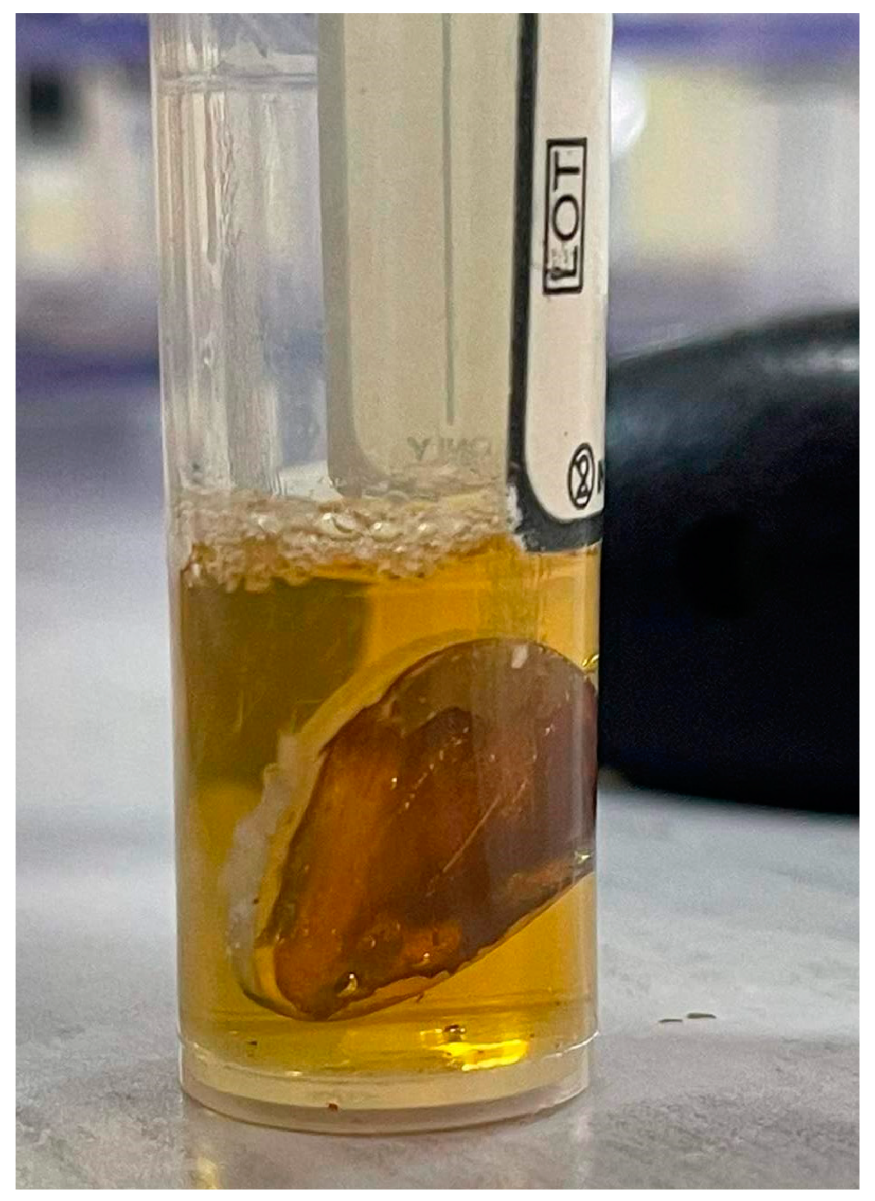 Antibiotics 12 01097 g007