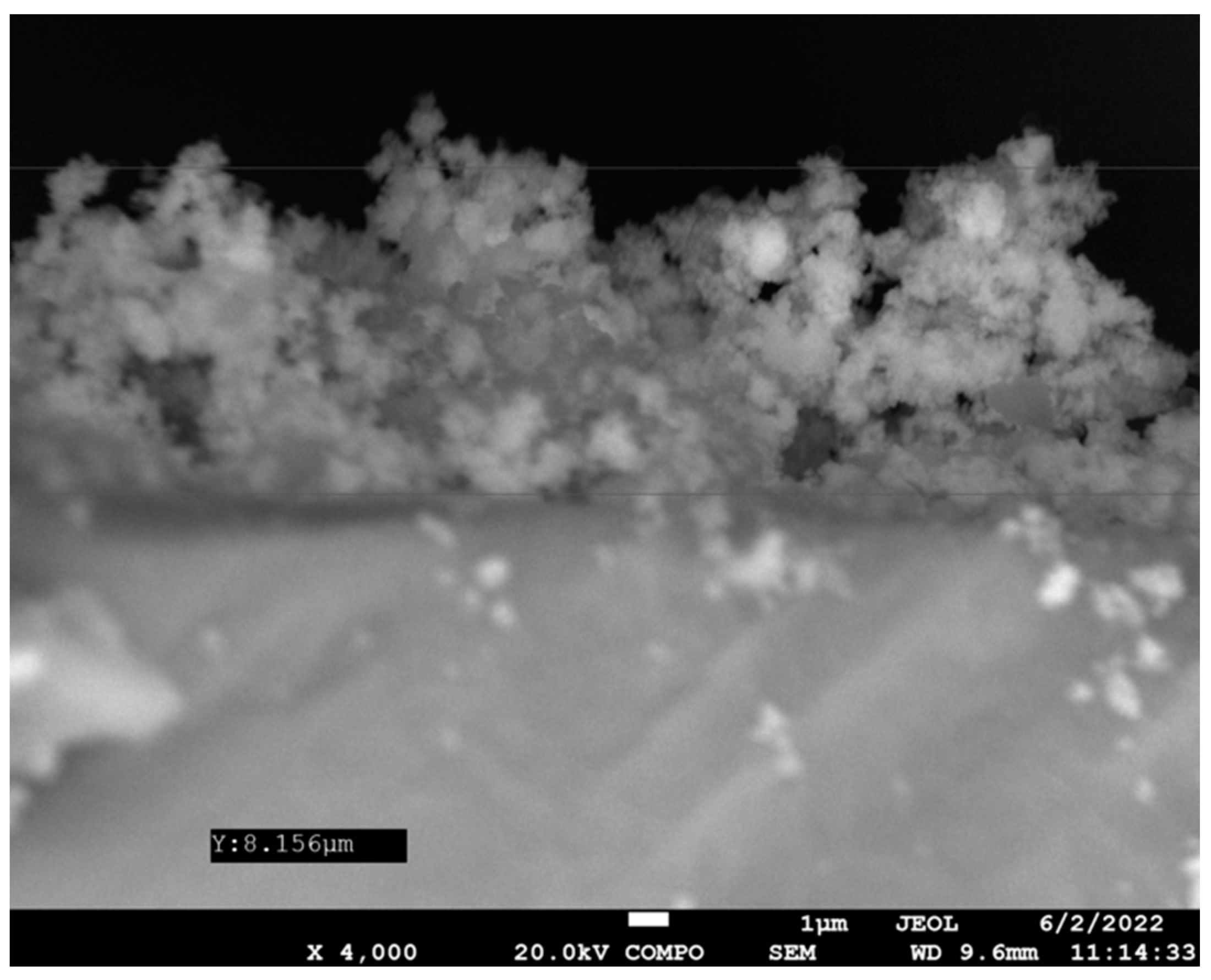 Antibiotics 12 01103 g003