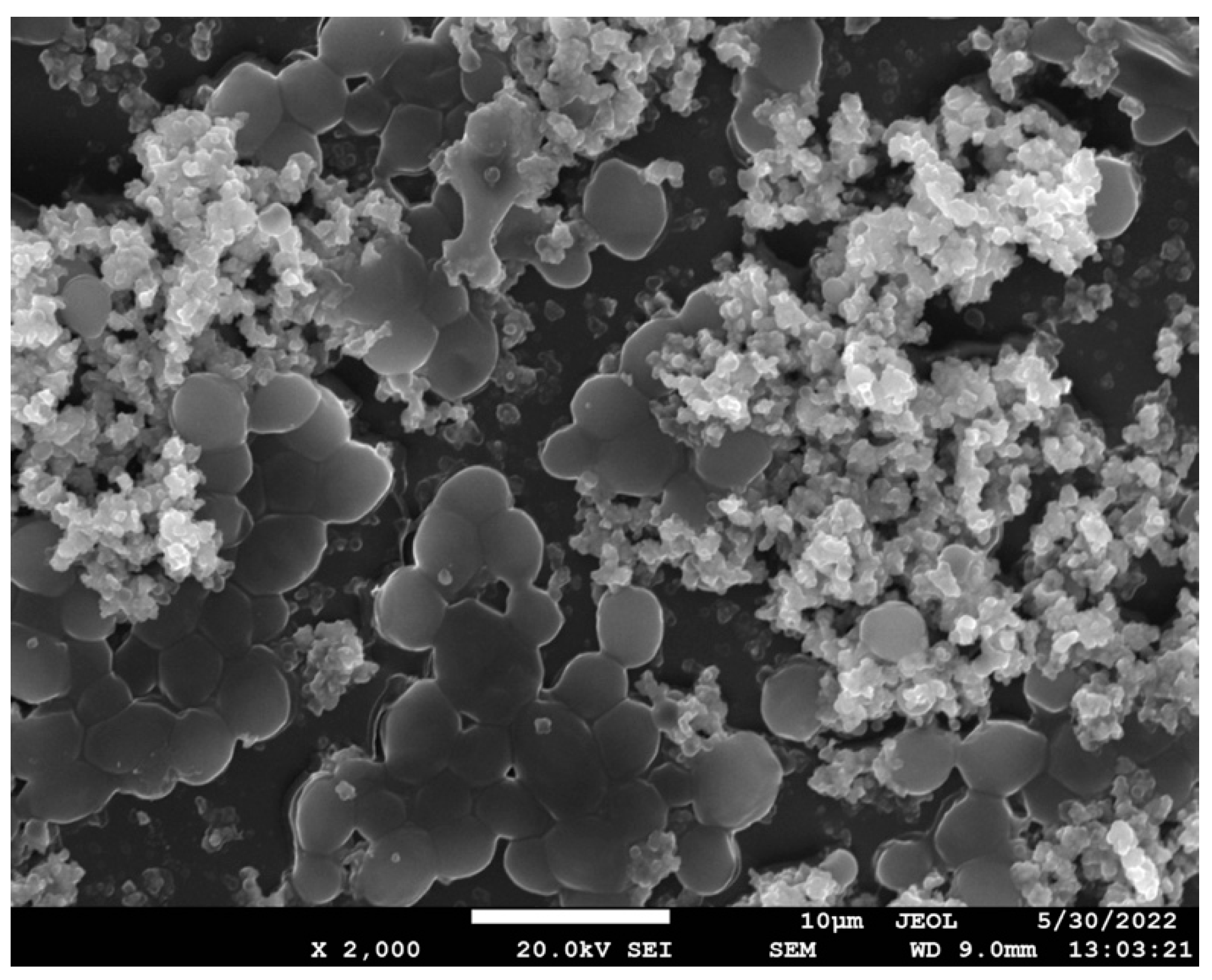 Antibiotics 12 01103 g004