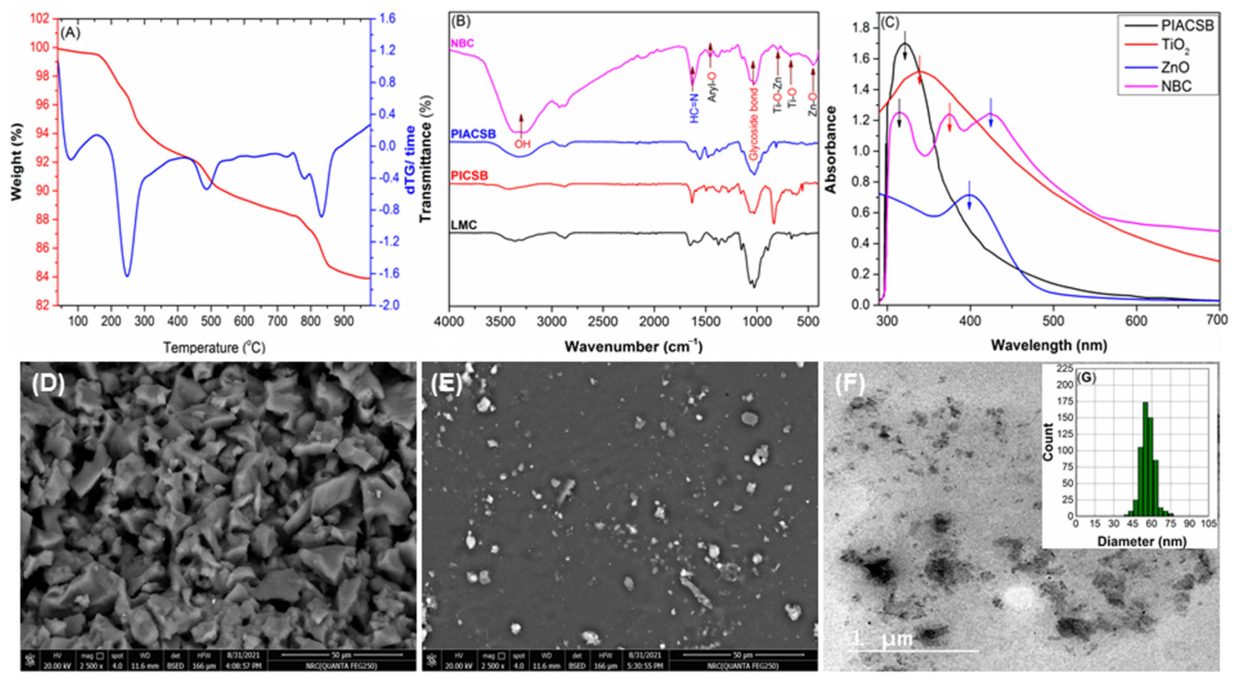 Antibiotics 12 01110 g002 Antibiotics 12 01110 g002