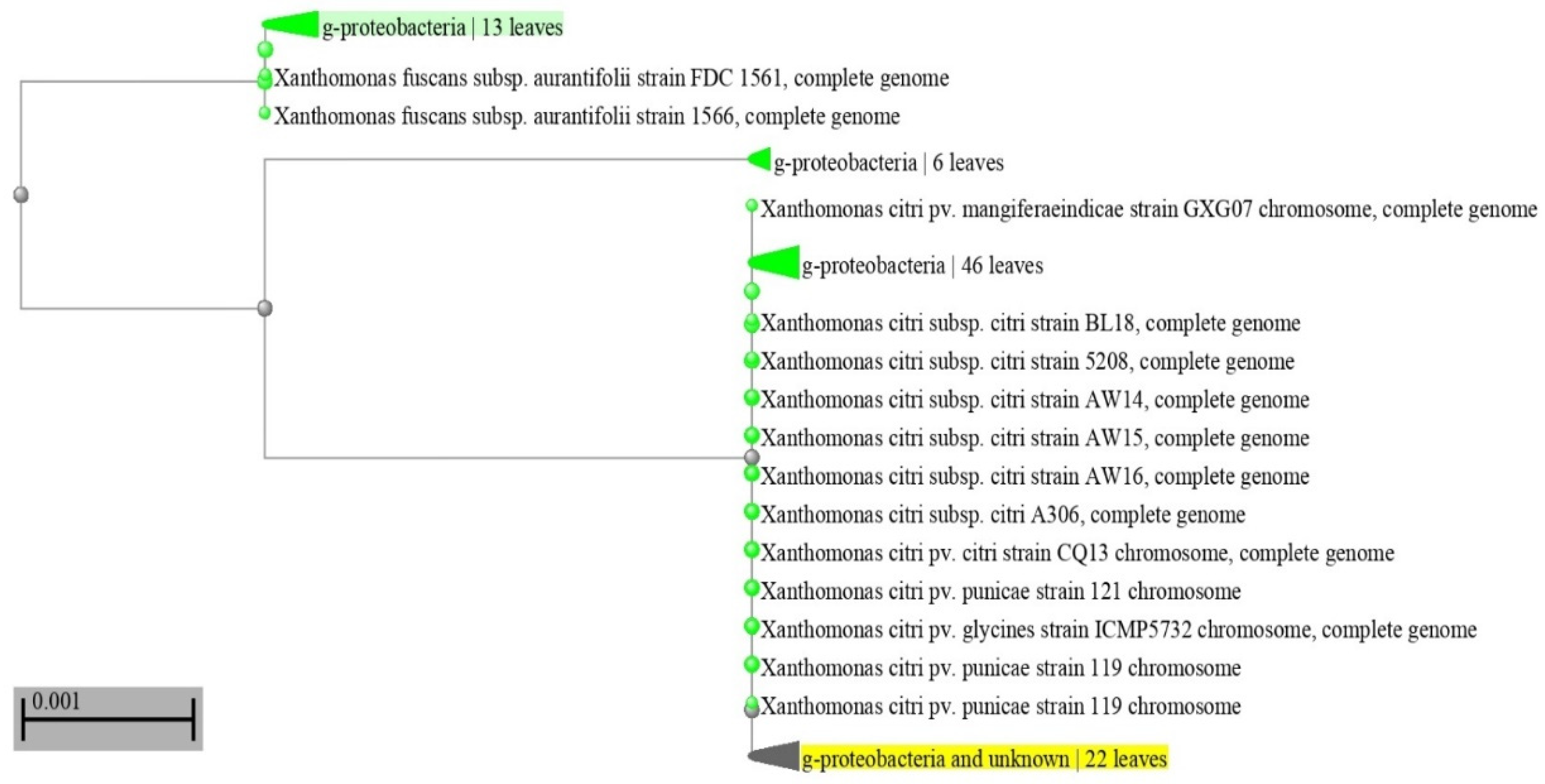 Antibiotics 12 01114 g002