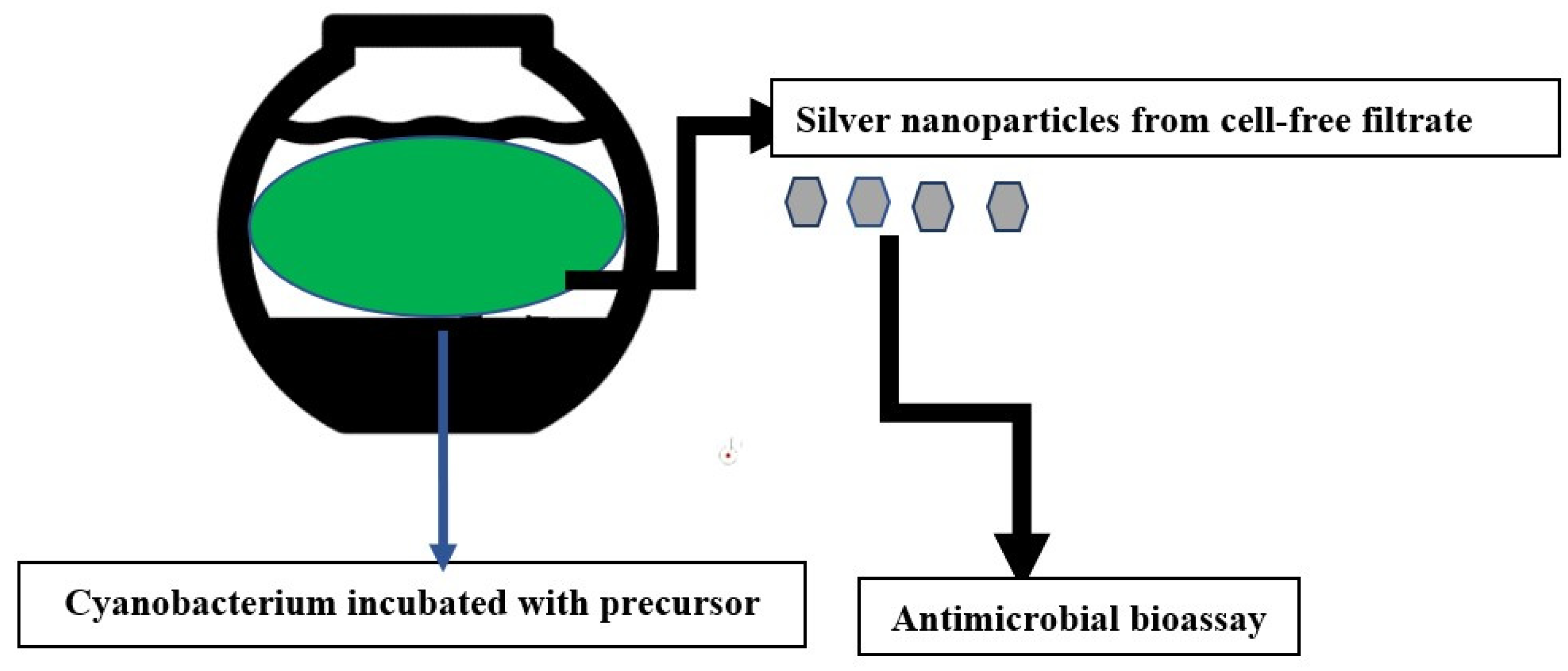 Antibiotics 12 01114 sch001