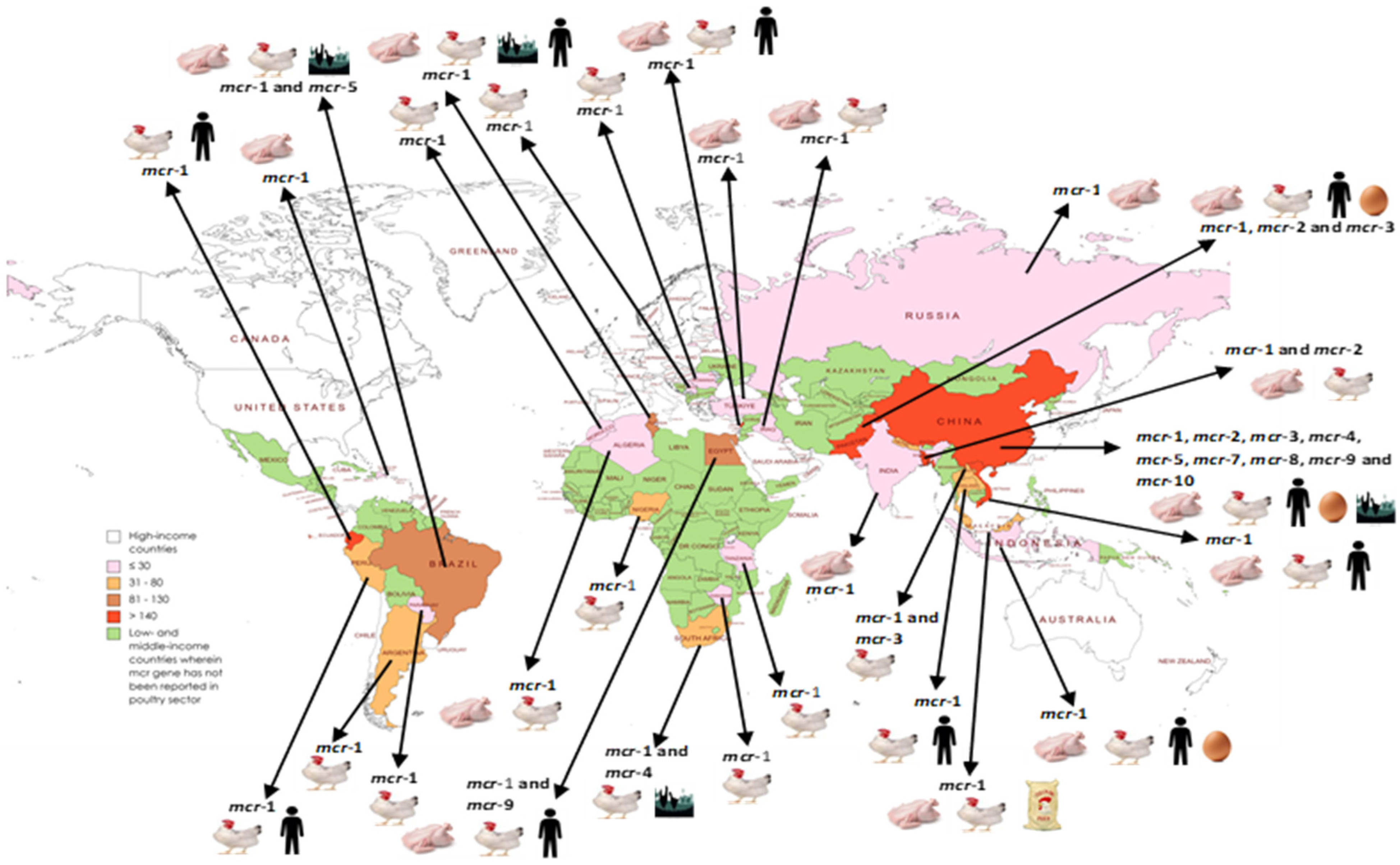 https://www.mdpi.com/antibiotics/antibiotics-12-01117/article_deploy/html/images/antibiotics-12-01117-g003.png