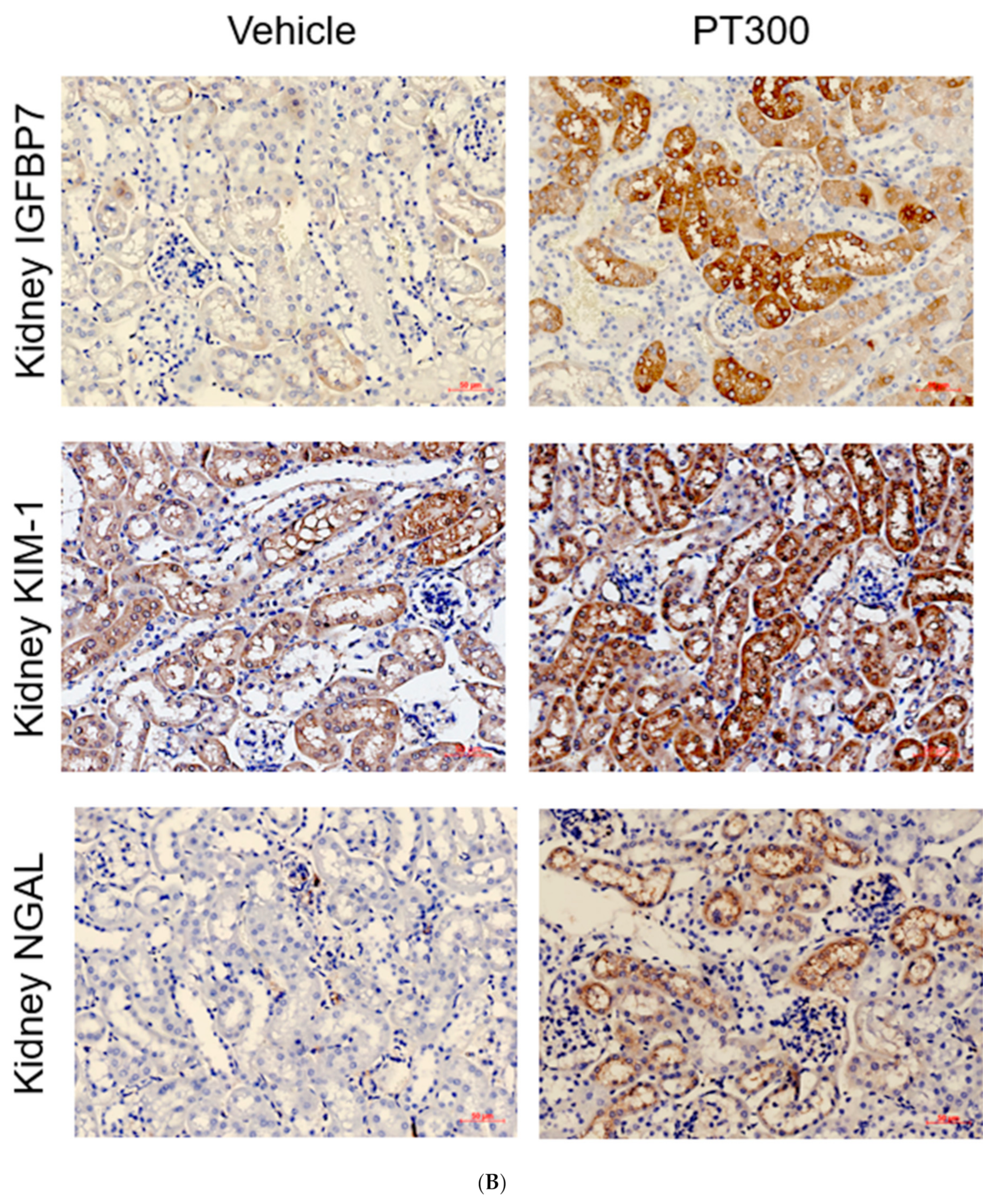 Antibiotics 12 01121 g001b Antibiotics 12 01121 g001b