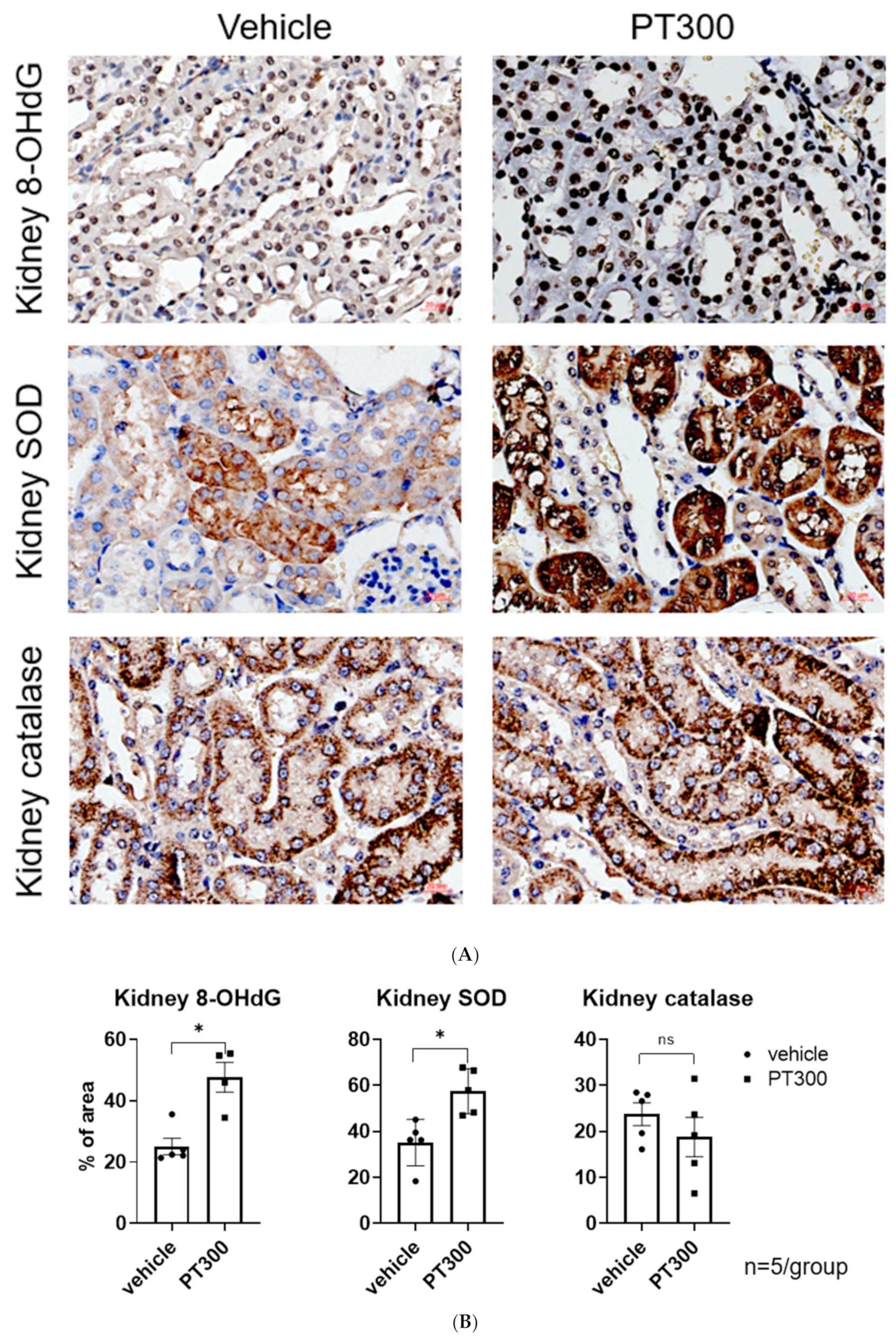 Antibiotics 12 01121 g002 Antibiotics 12 01121 g002