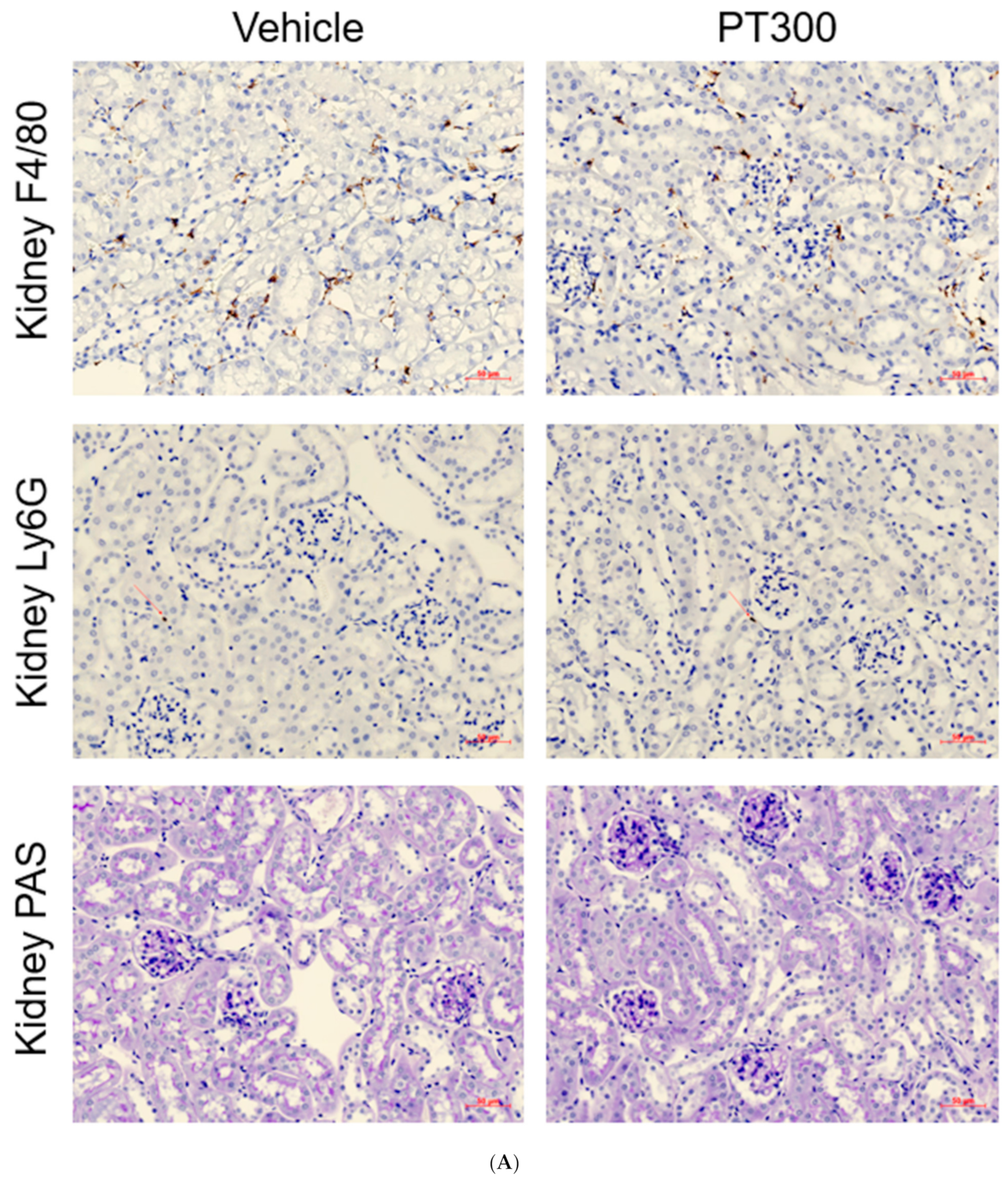 Antibiotics 12 01121 g005a Antibiotics 12 01121 g005a