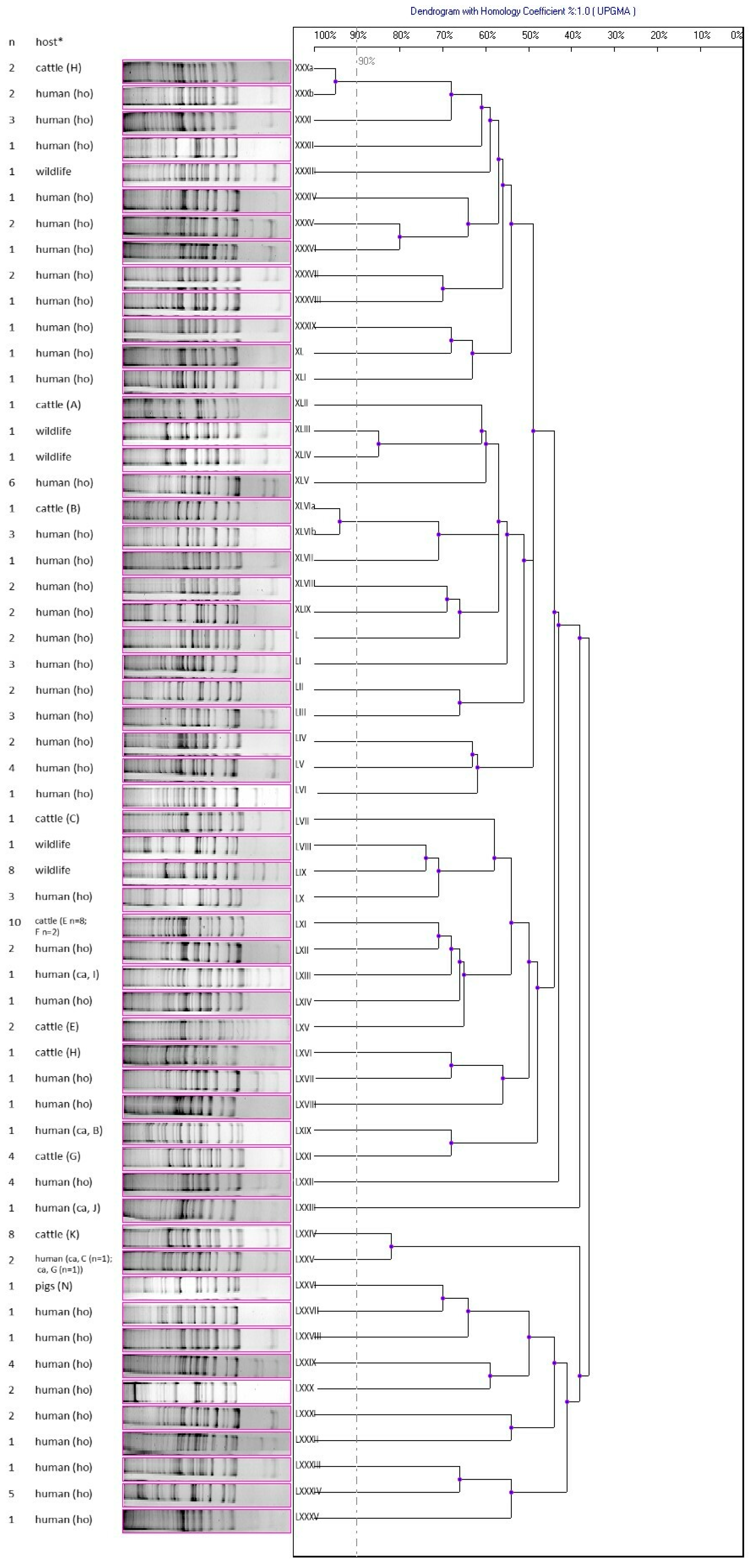 Antibiotics 12 01137 g003 Antibiotics 12 01137 g003