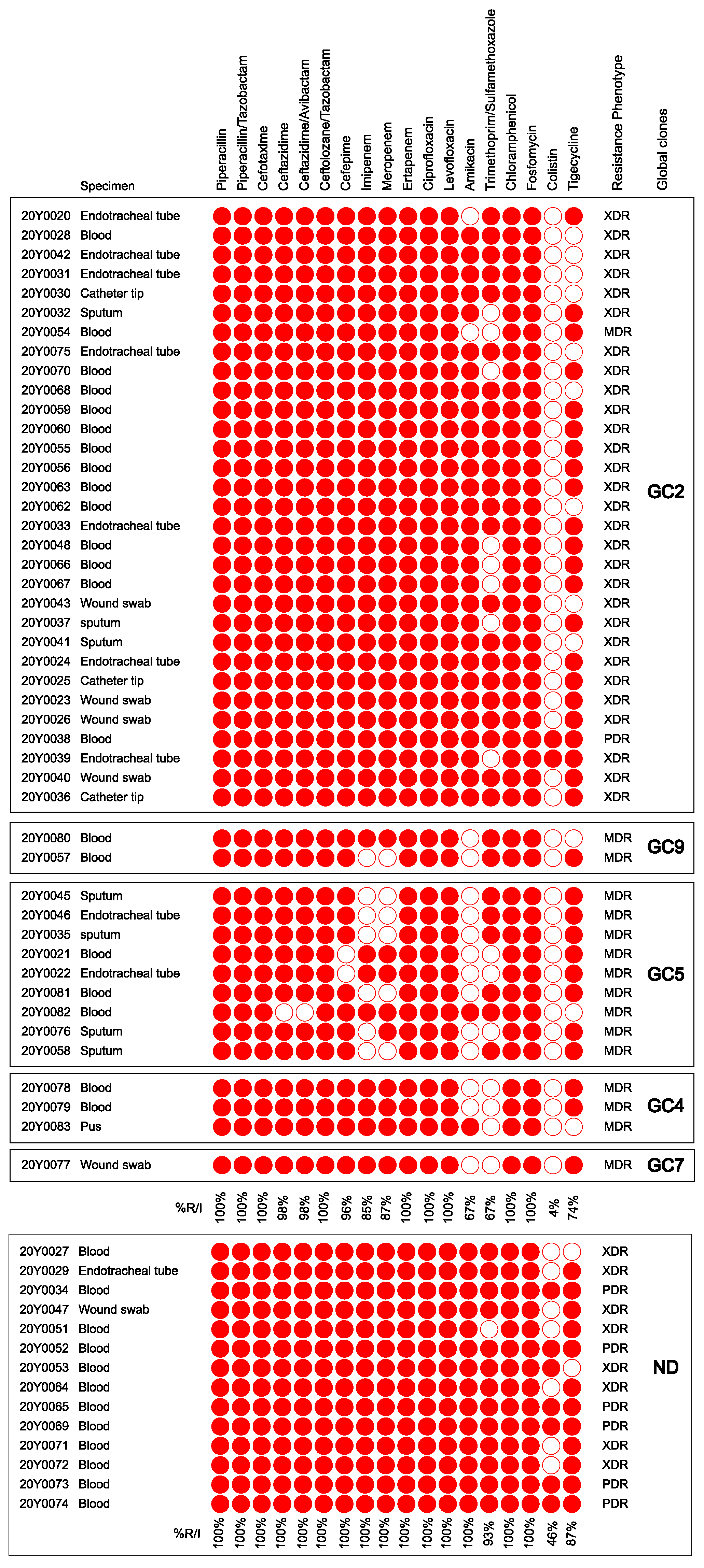 Antibiotics 12 01149 g001 Antibiotics 12 01149 g001