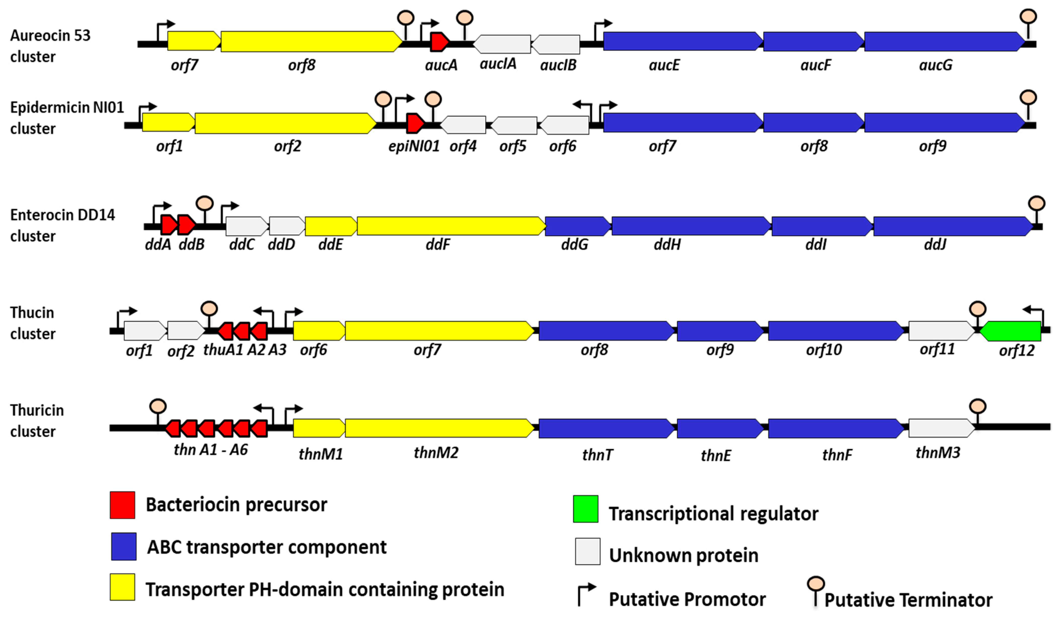 Antibiotics 12 01188 g005