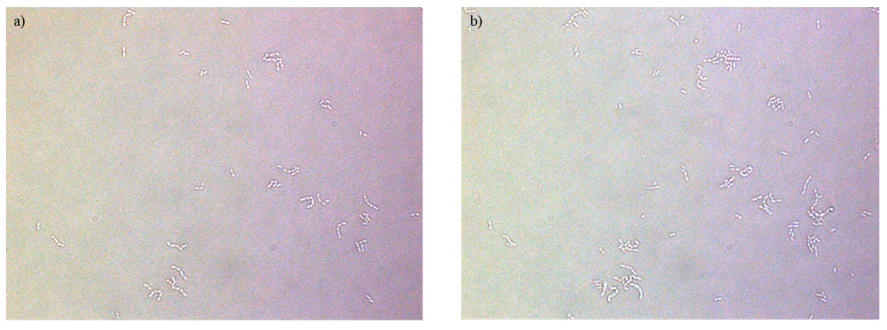 Antibiotics 12 01231 g0a7 Antibiotics 12 01231 g0a7