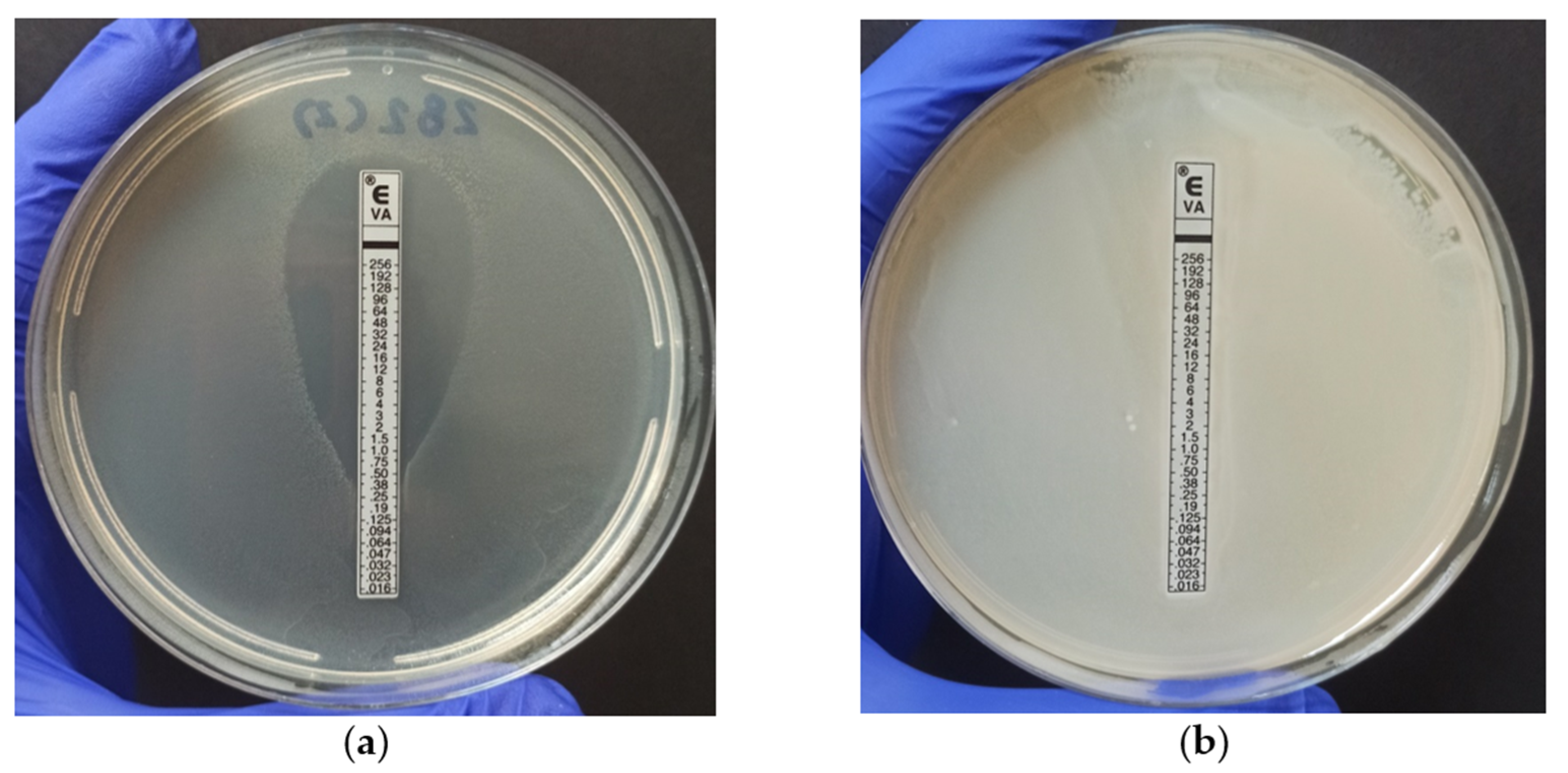 Antibiotics 12 01243 g002 Antibiotics 12 01243 g002