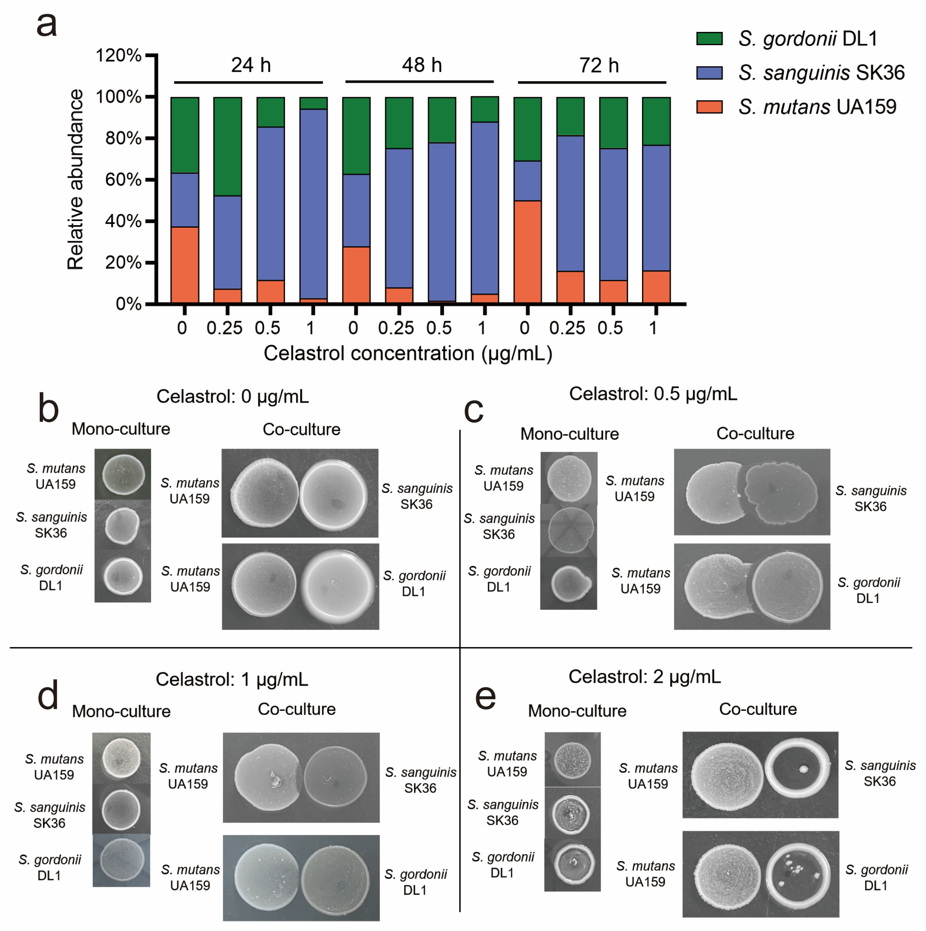 Antibiotics 12 01245 g004