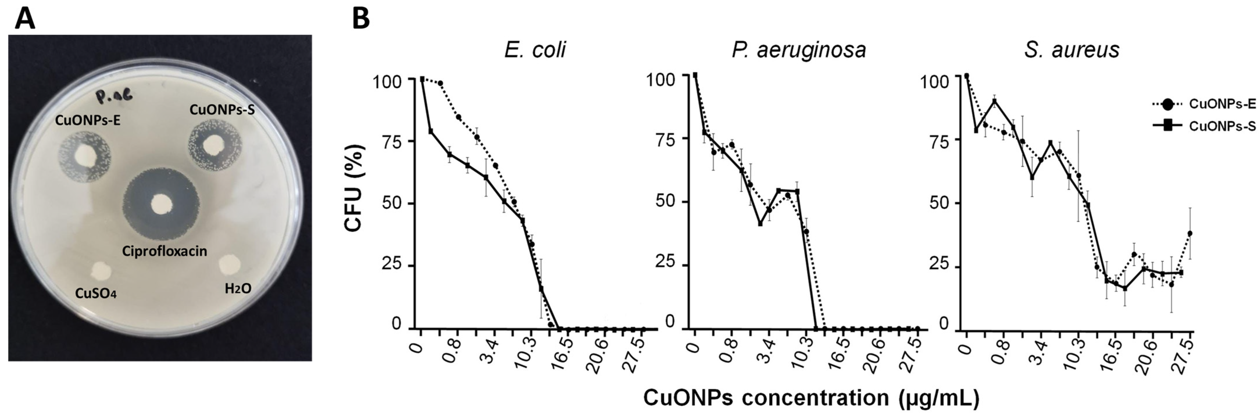 Antibiotics 12 01251 g006