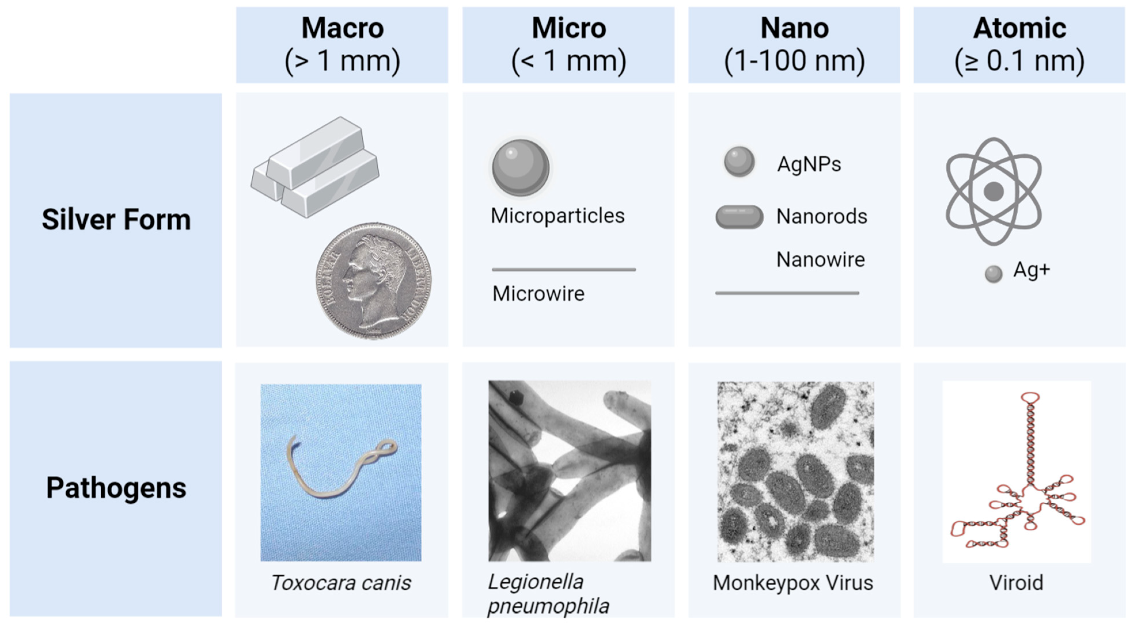 Antibiotics 12 01264 g002