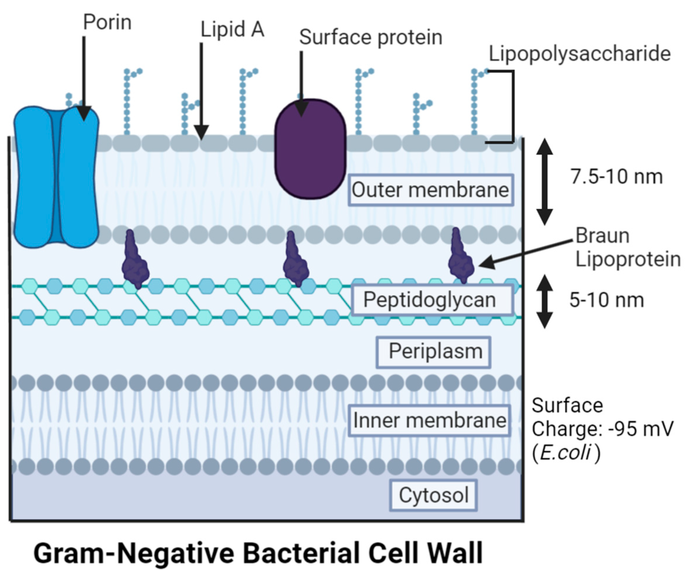 Antibiotics 12 01264 g005