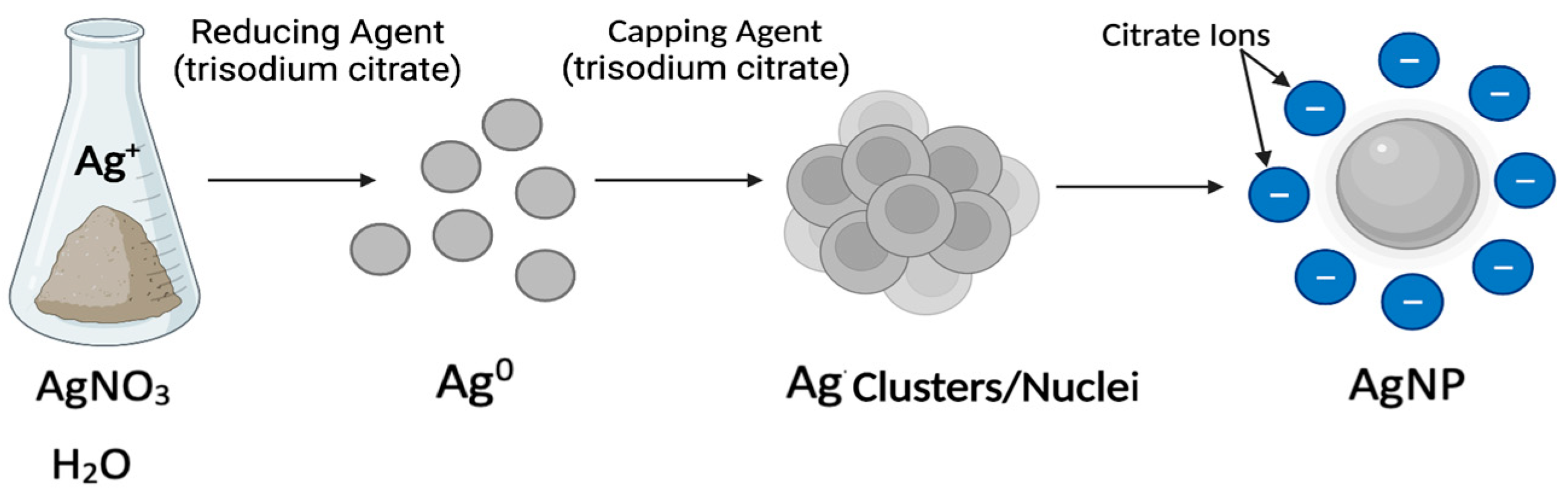 Antibiotics 12 01264 g007