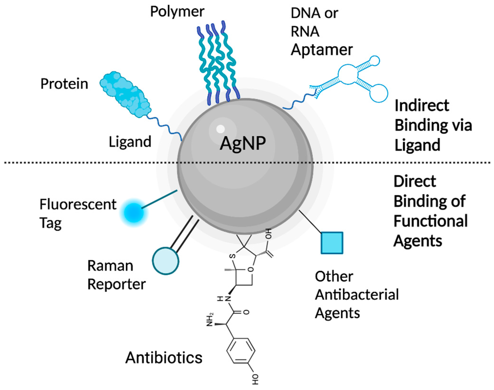 Antibiotics 12 01264 g008