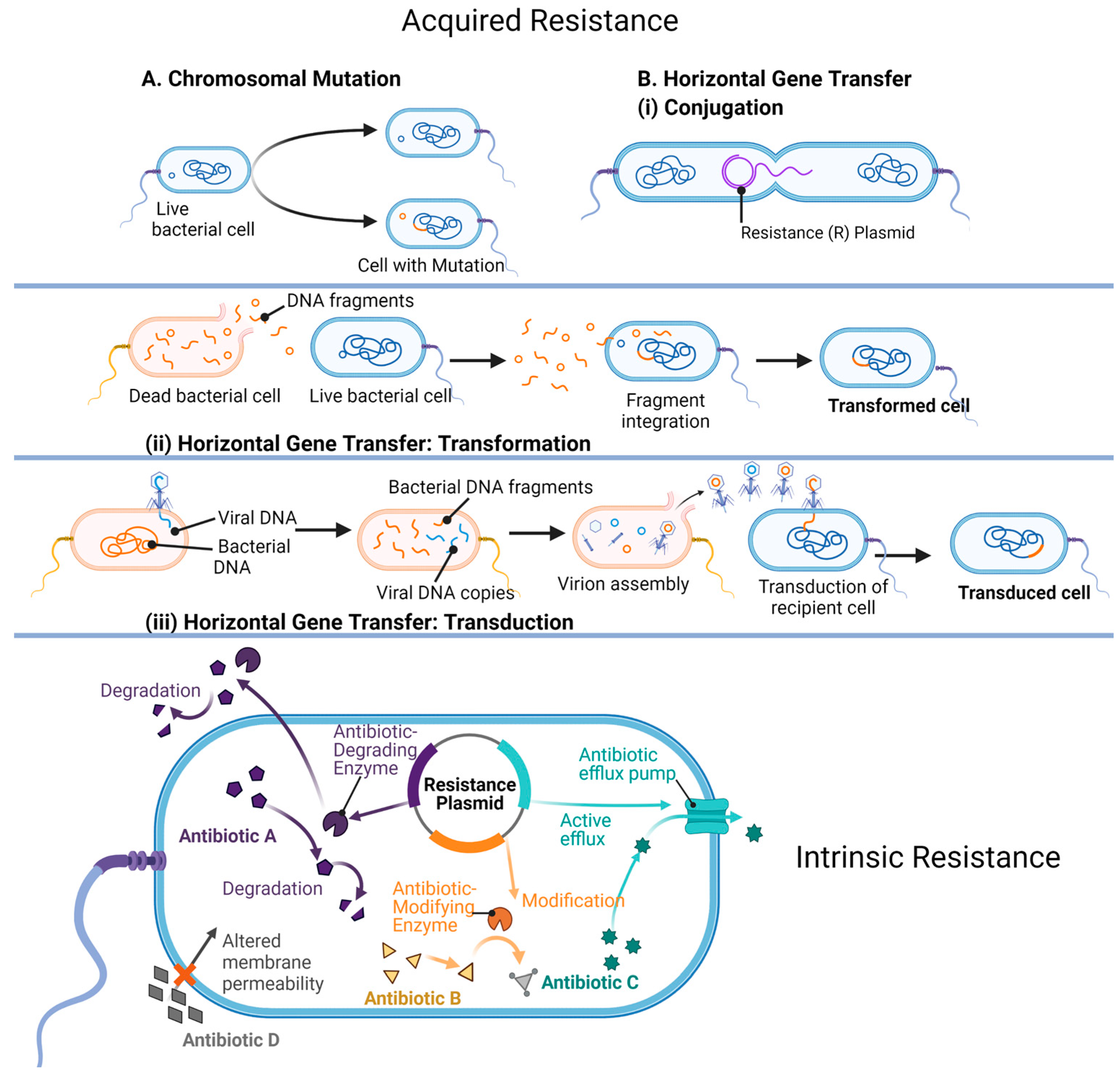 Antibiotics 12 01264 g011
