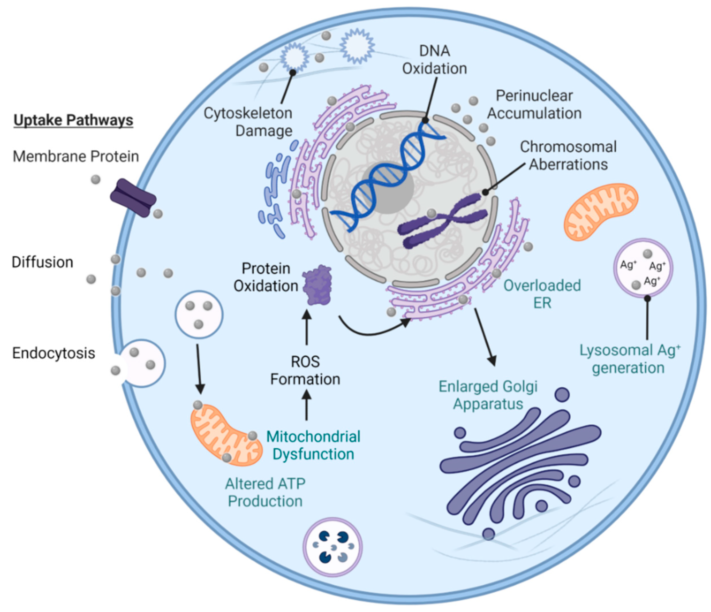 Antibiotics 12 01264 g014