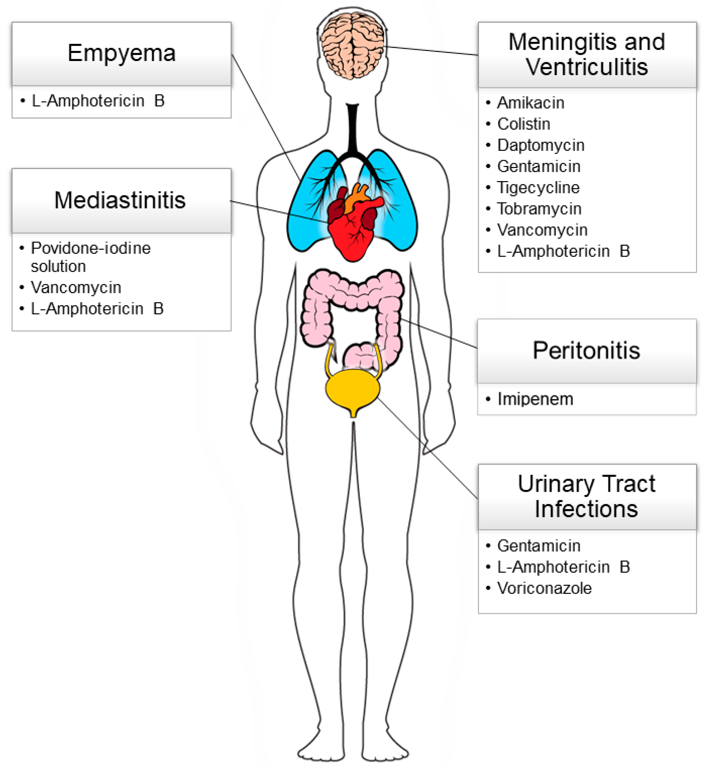 Antibiotics | Free Full-Text | Alternative Antimicrobial