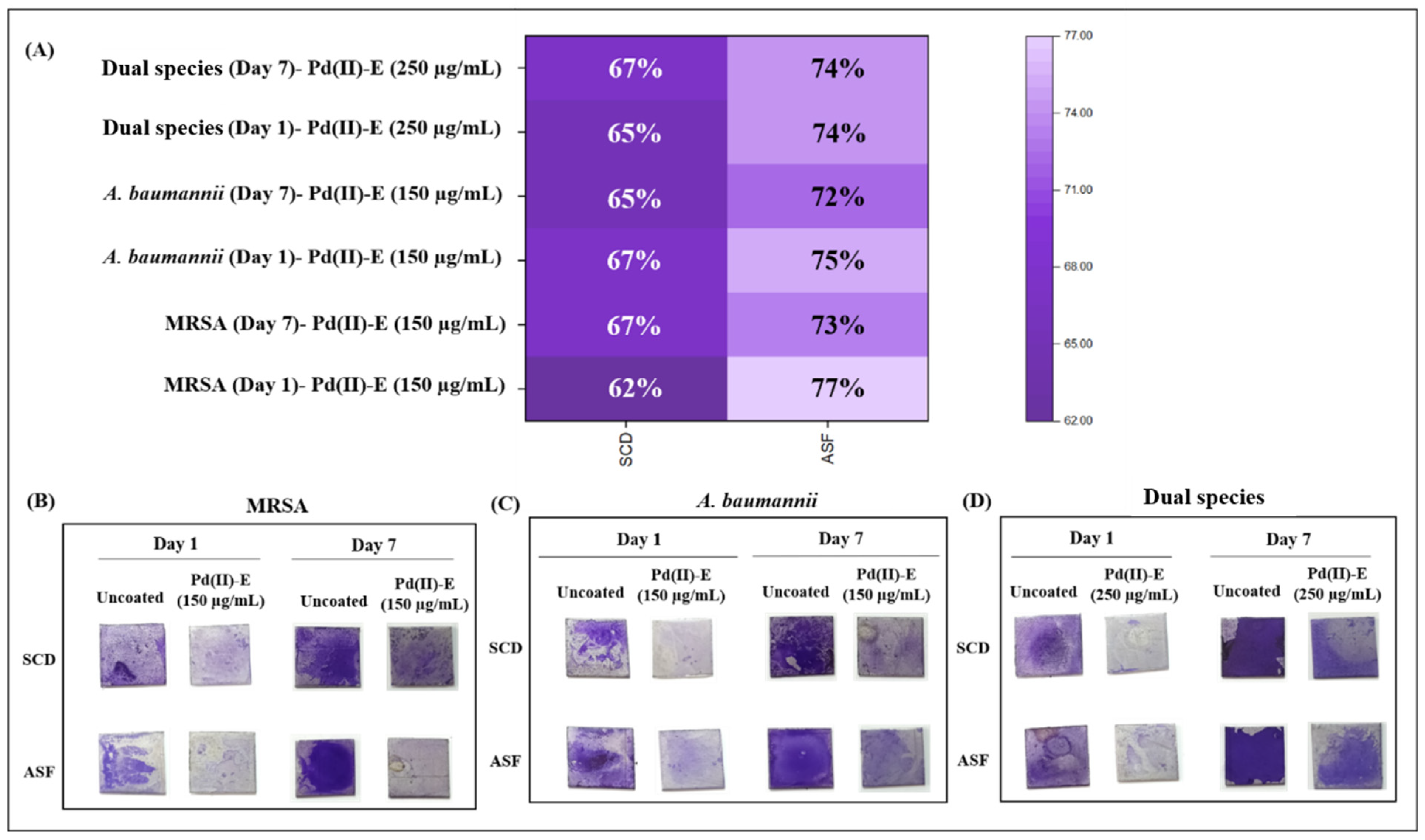 Antibiotics 12 01296 g002