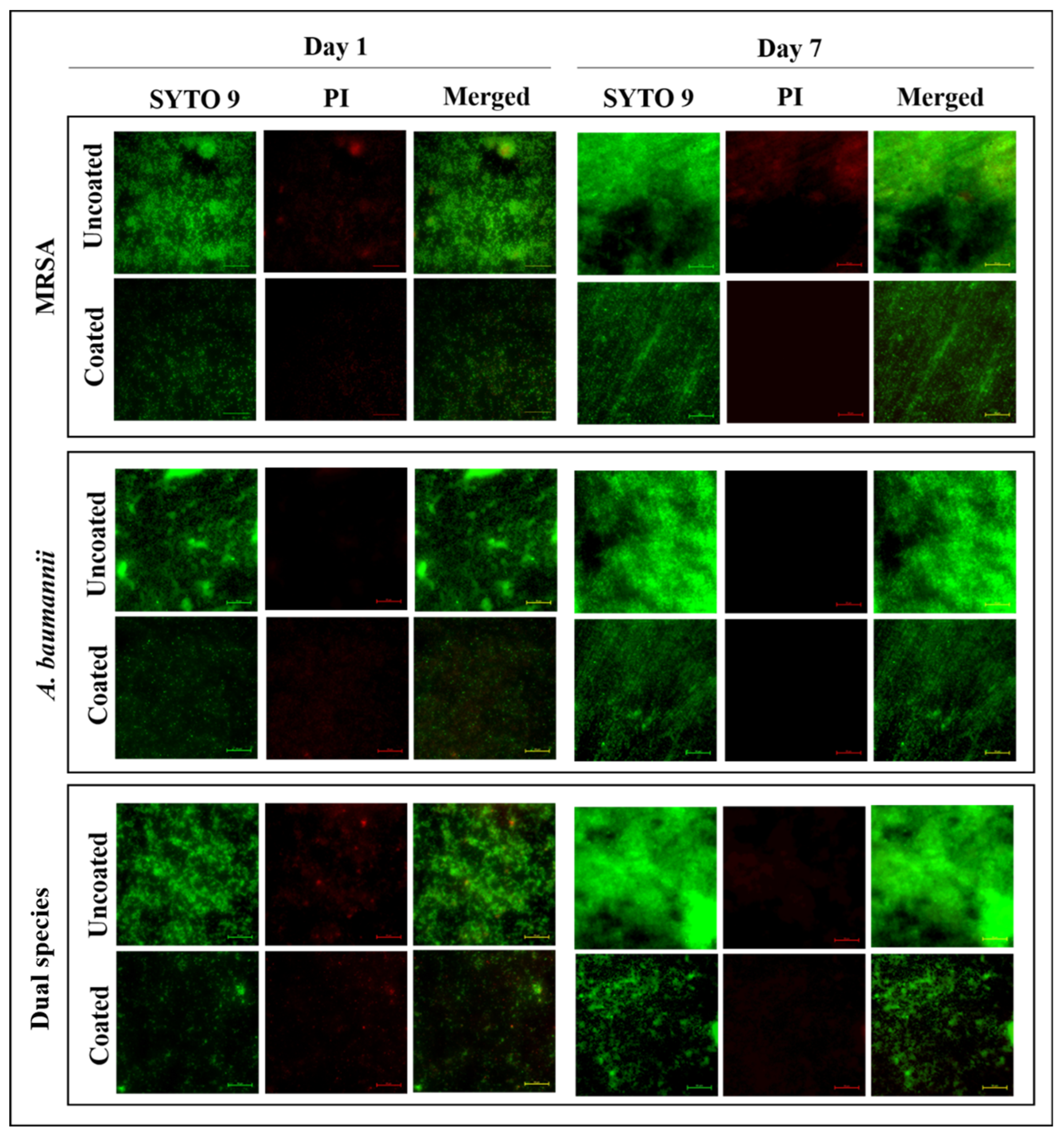 Antibiotics 12 01296 g003