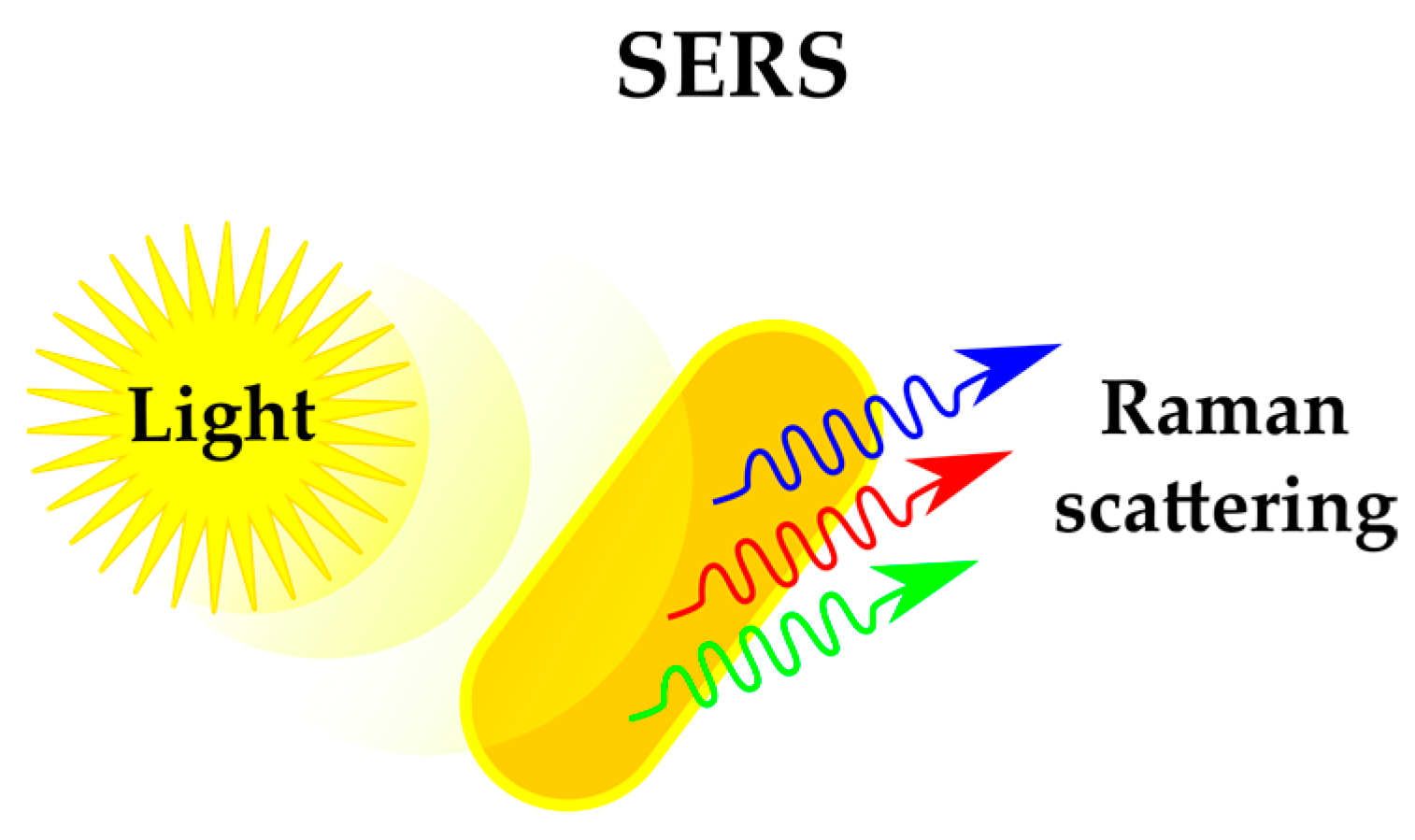 Antibiotics 12 01340 g007