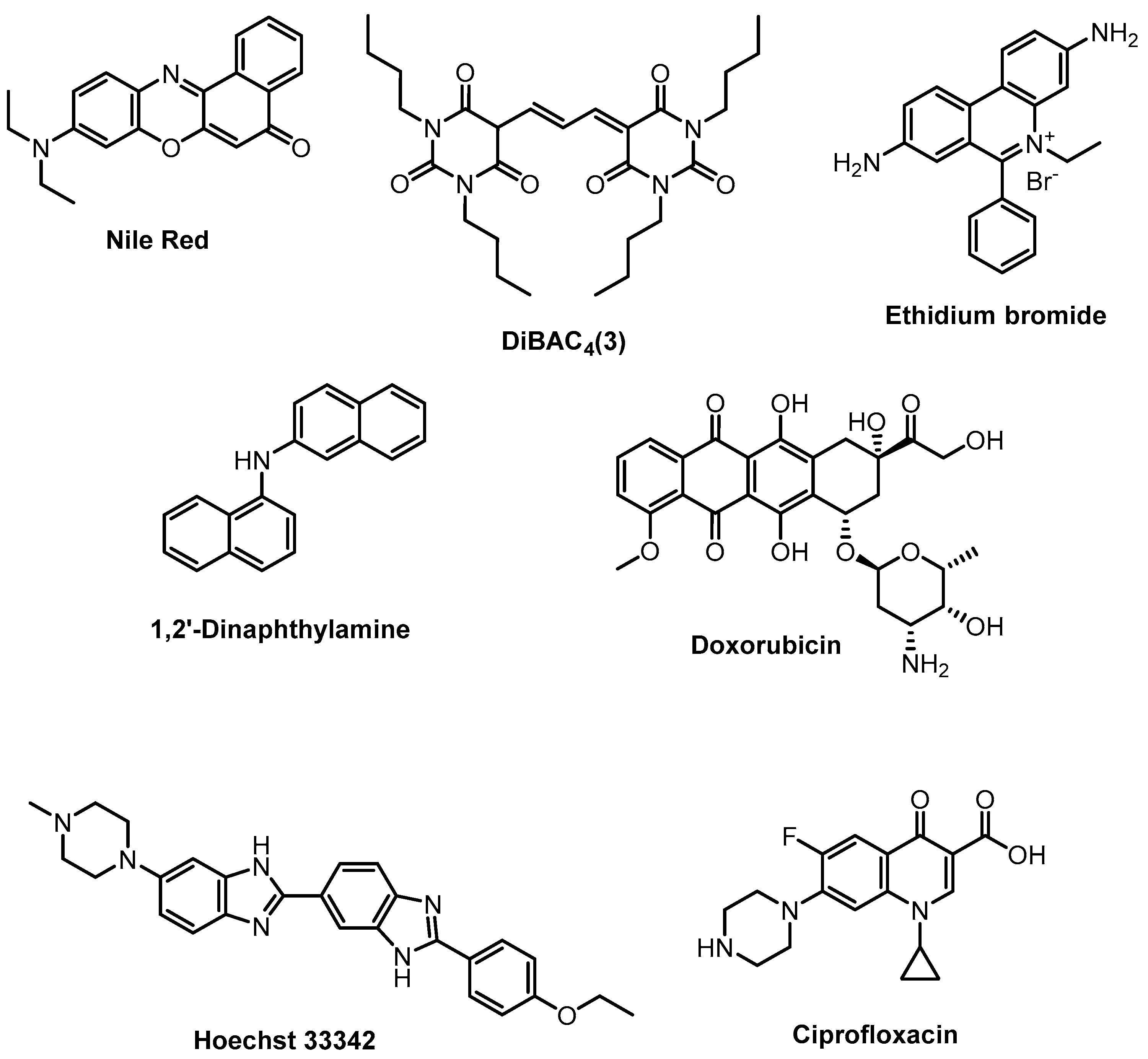 Antibiotics 12 01340 g019
