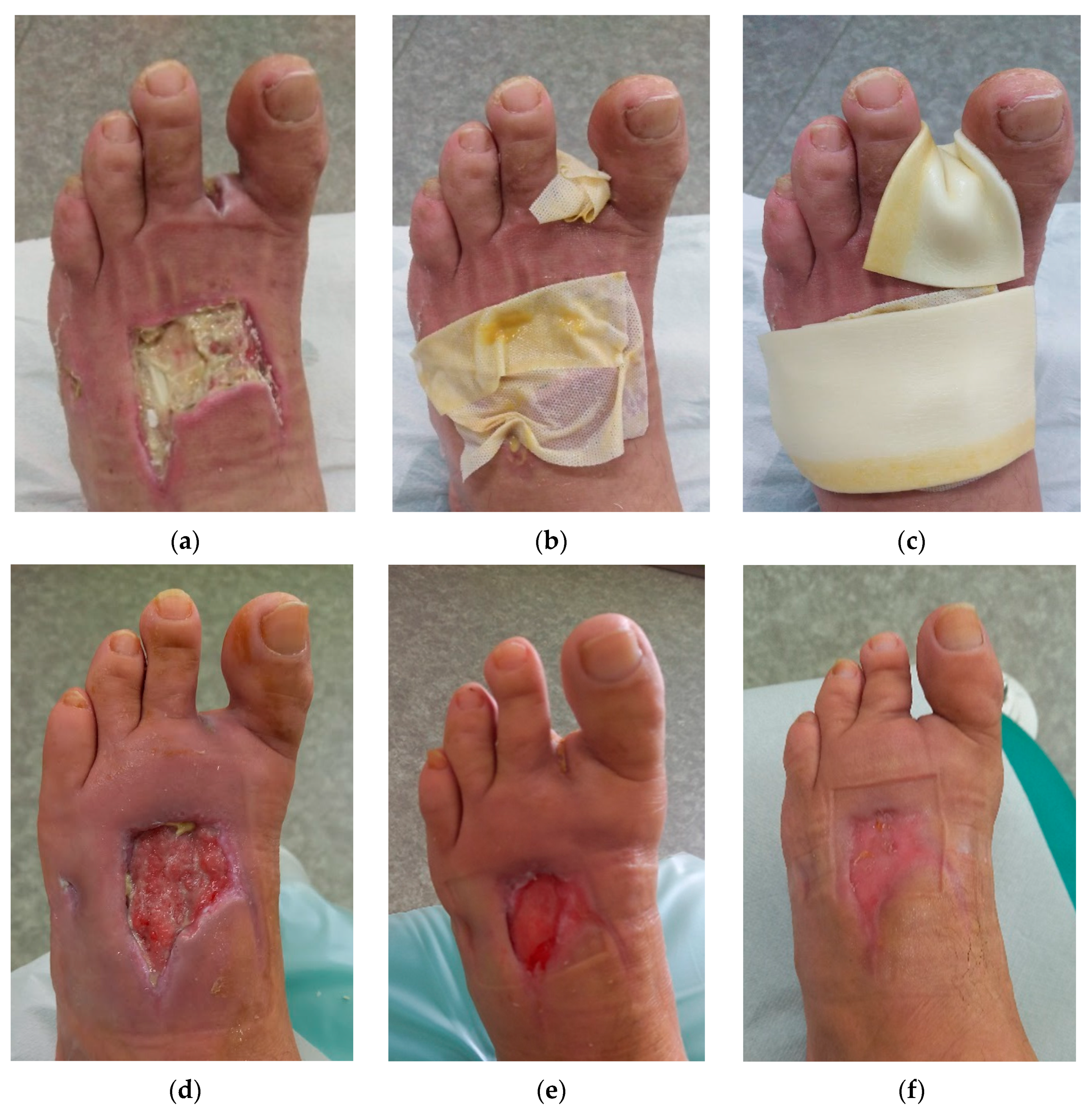 Antibiotics 12 01364 g002