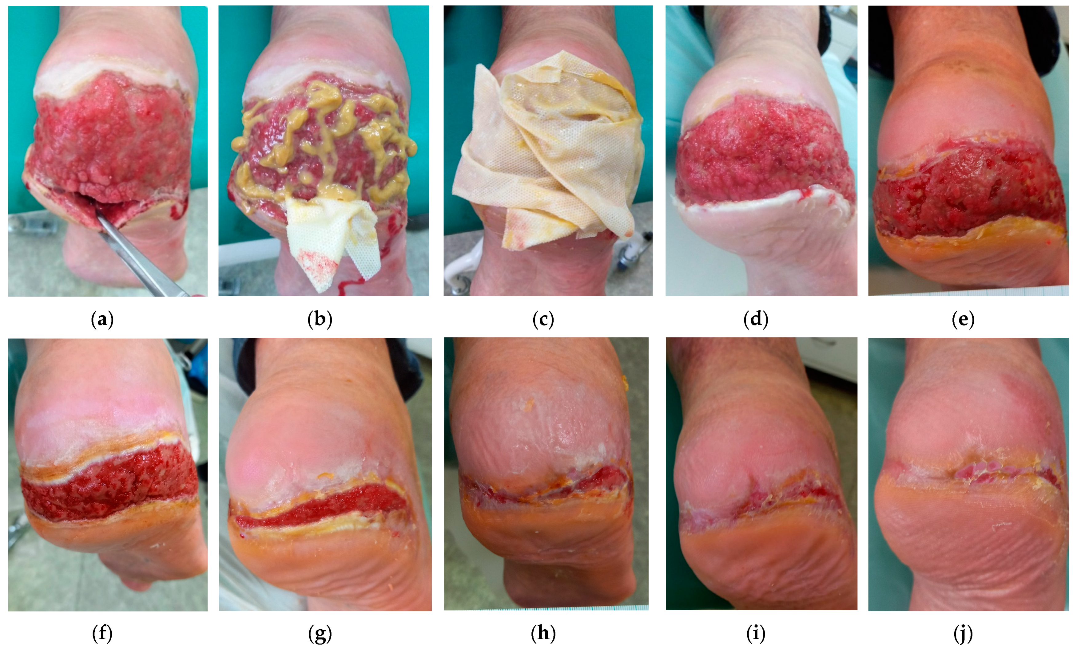 Antibiotics 12 01364 g003