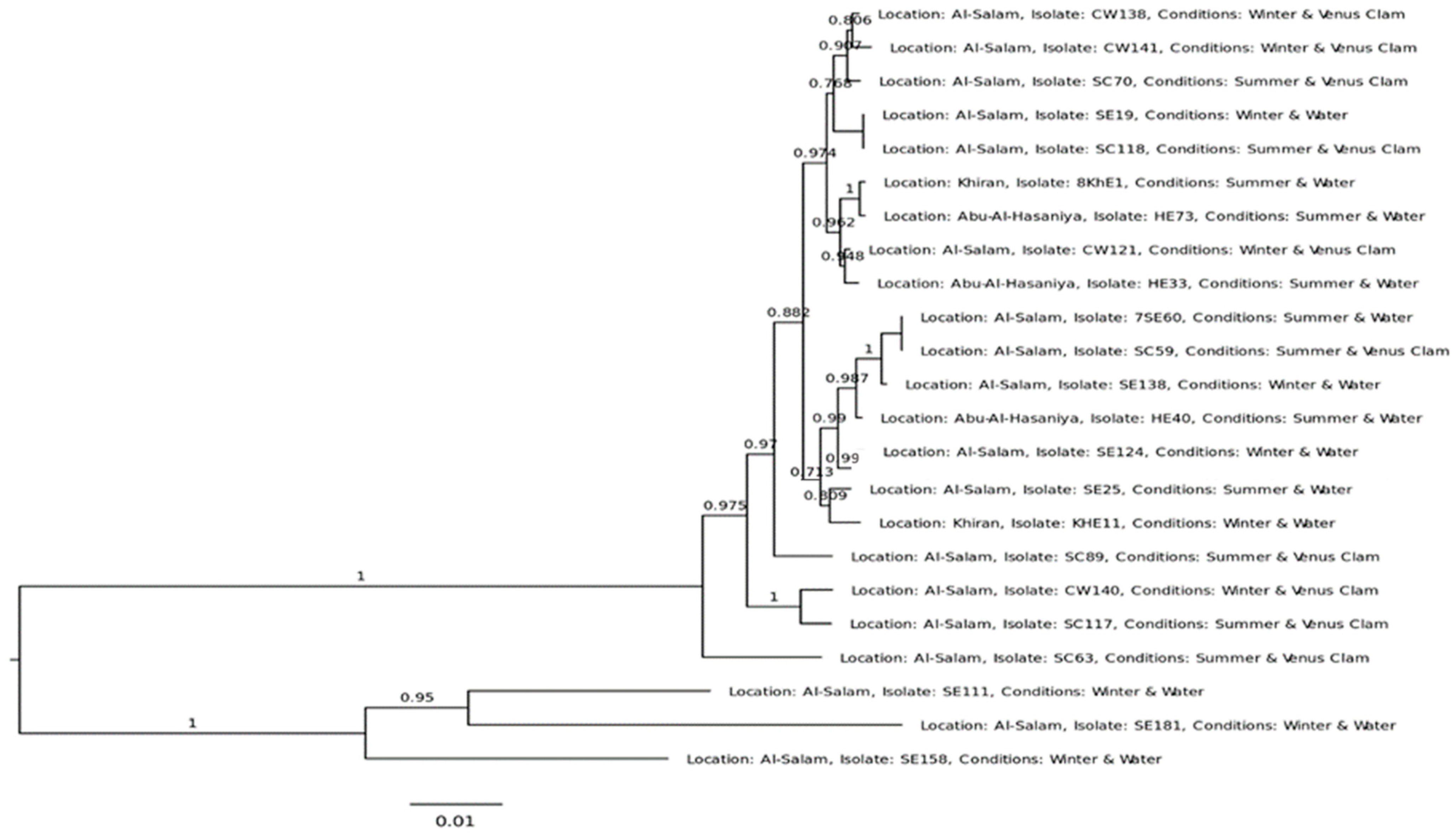 Antibiotics 12 01366 g001