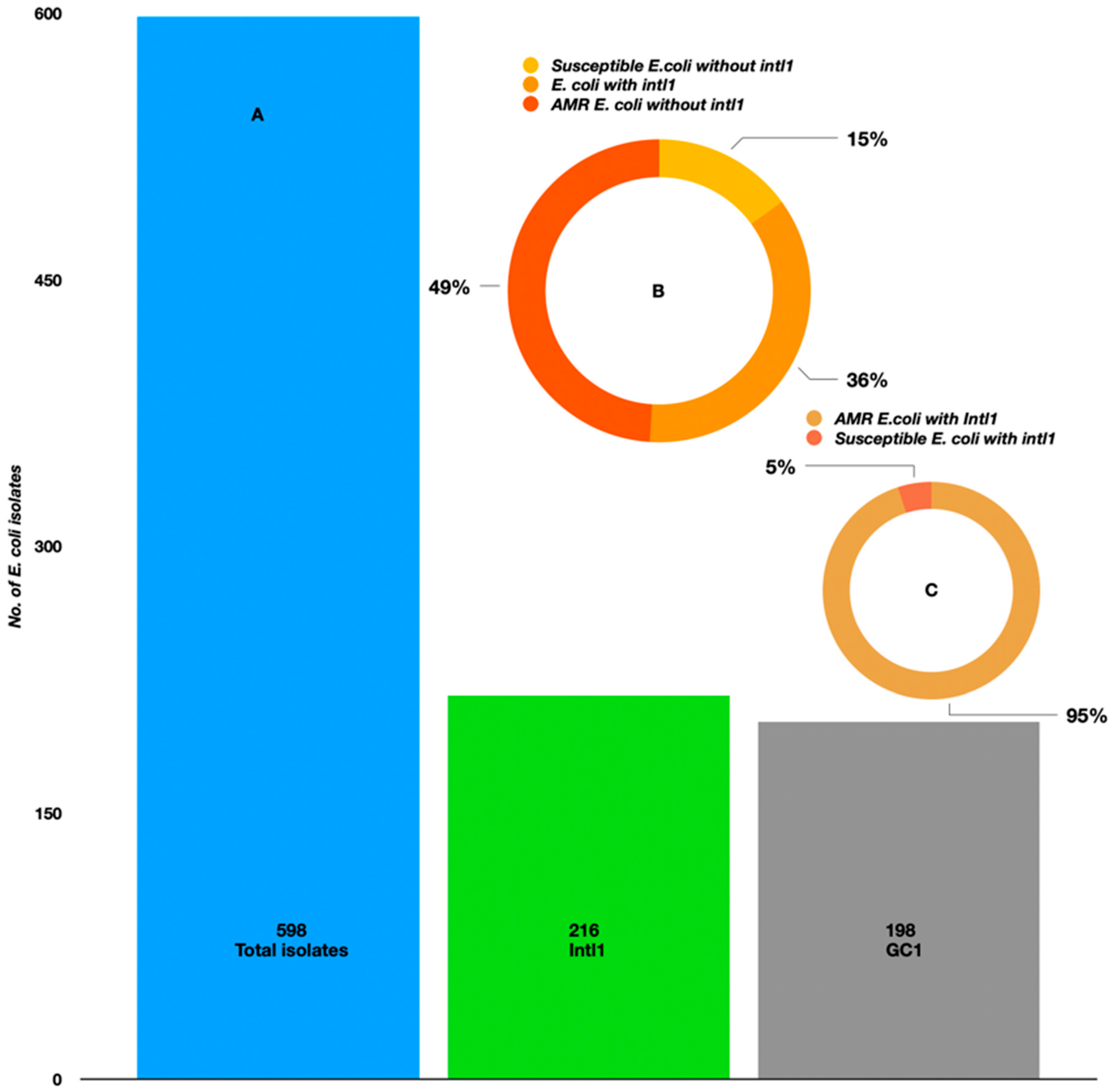 Antibiotics 12 01366 g006